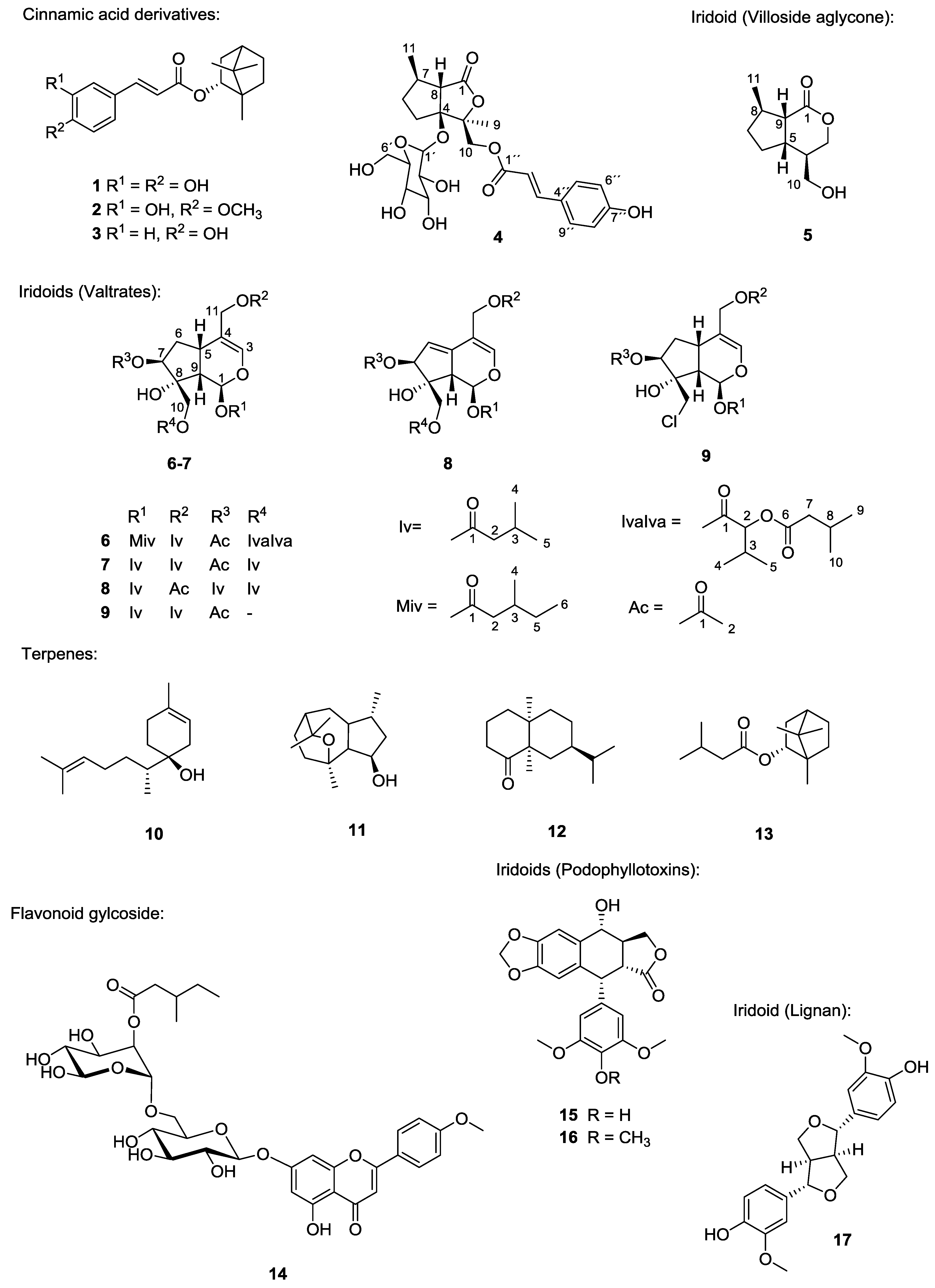 Molecules 20 05740 g001