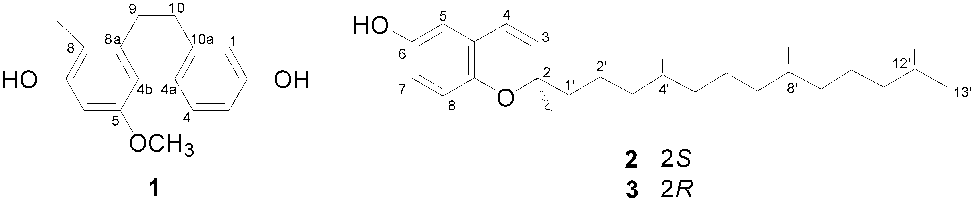 Molecules 20 05965 g001