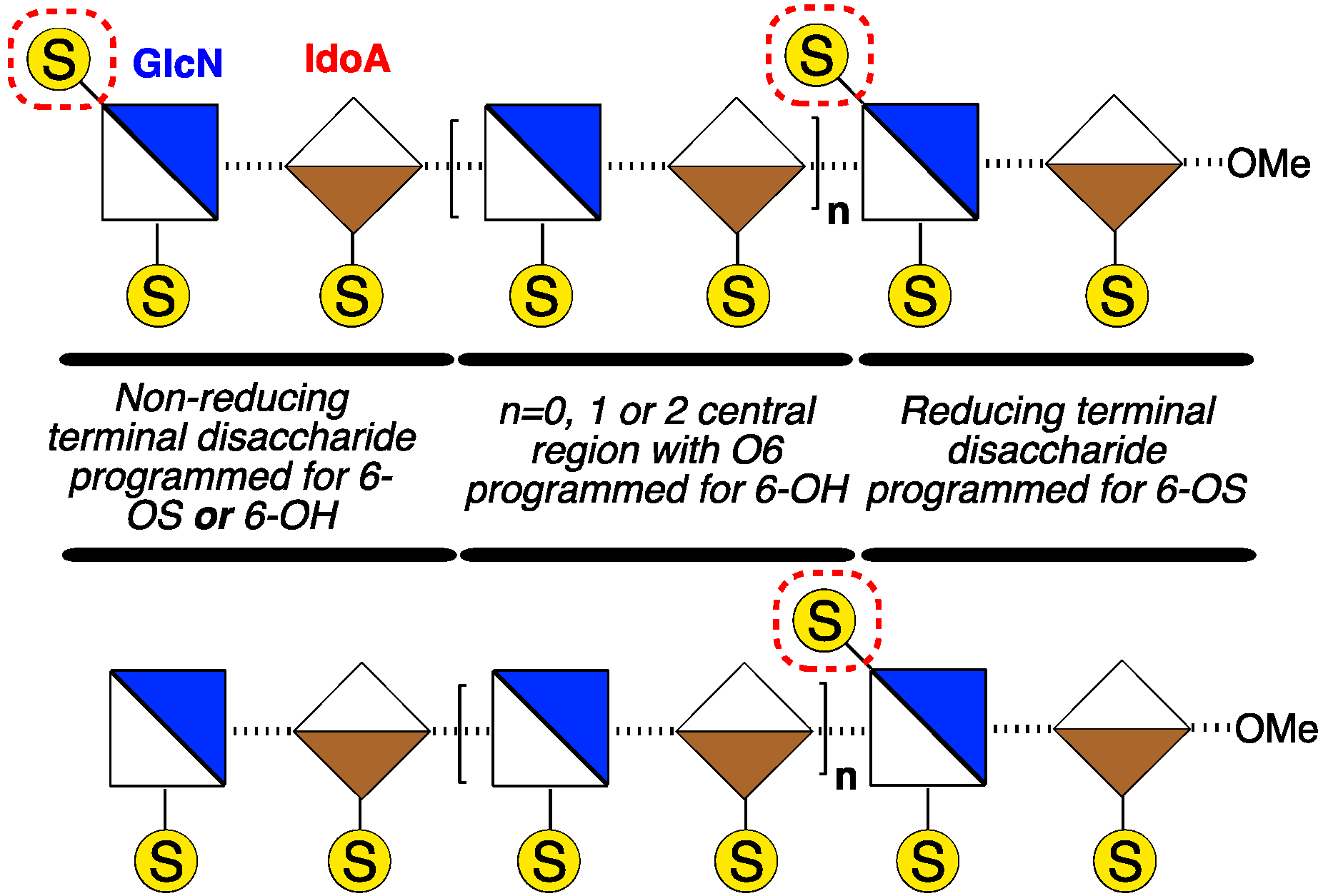Molecules 20 06167 g002 550