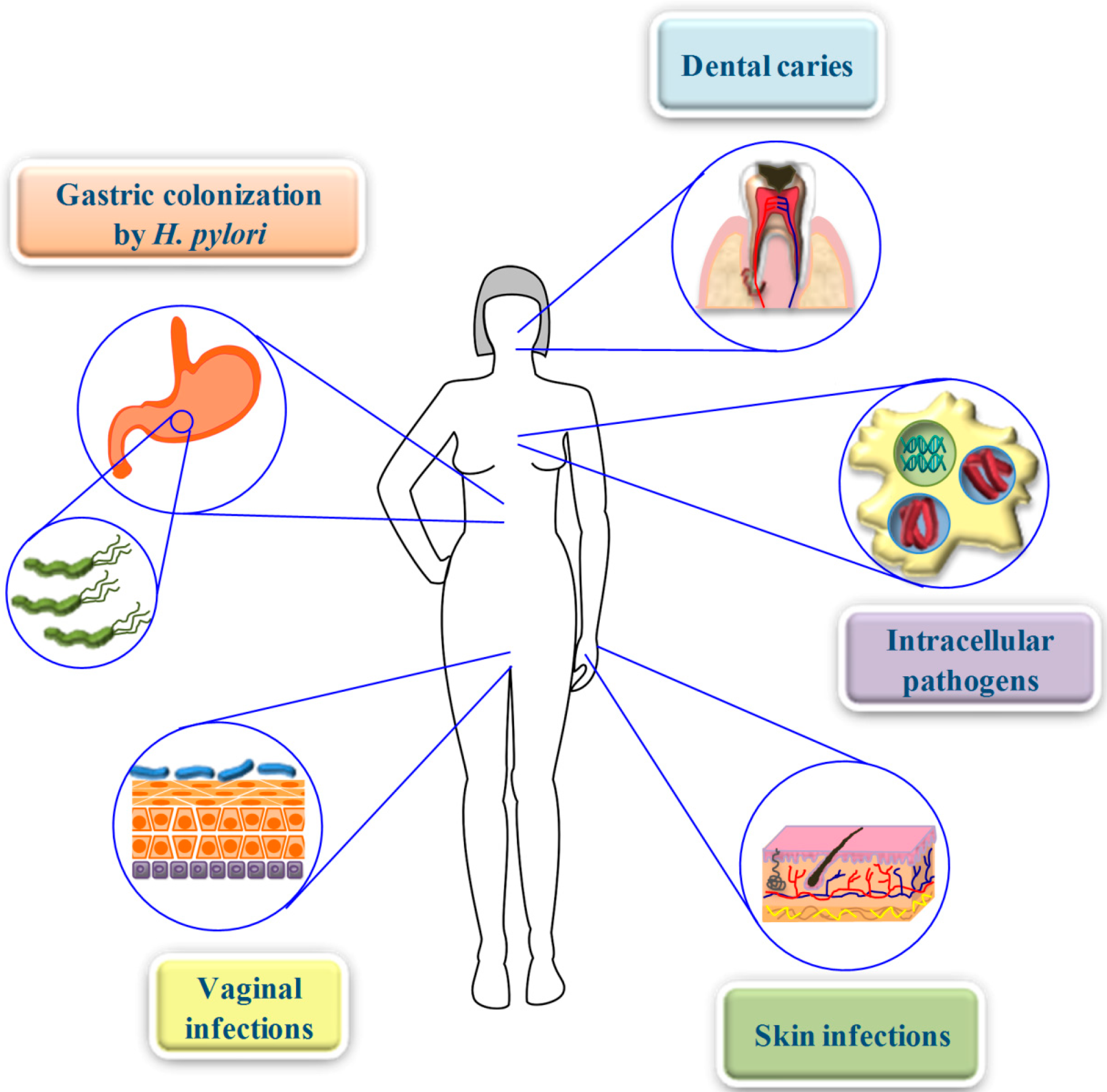 Molecules 20 06319 g003