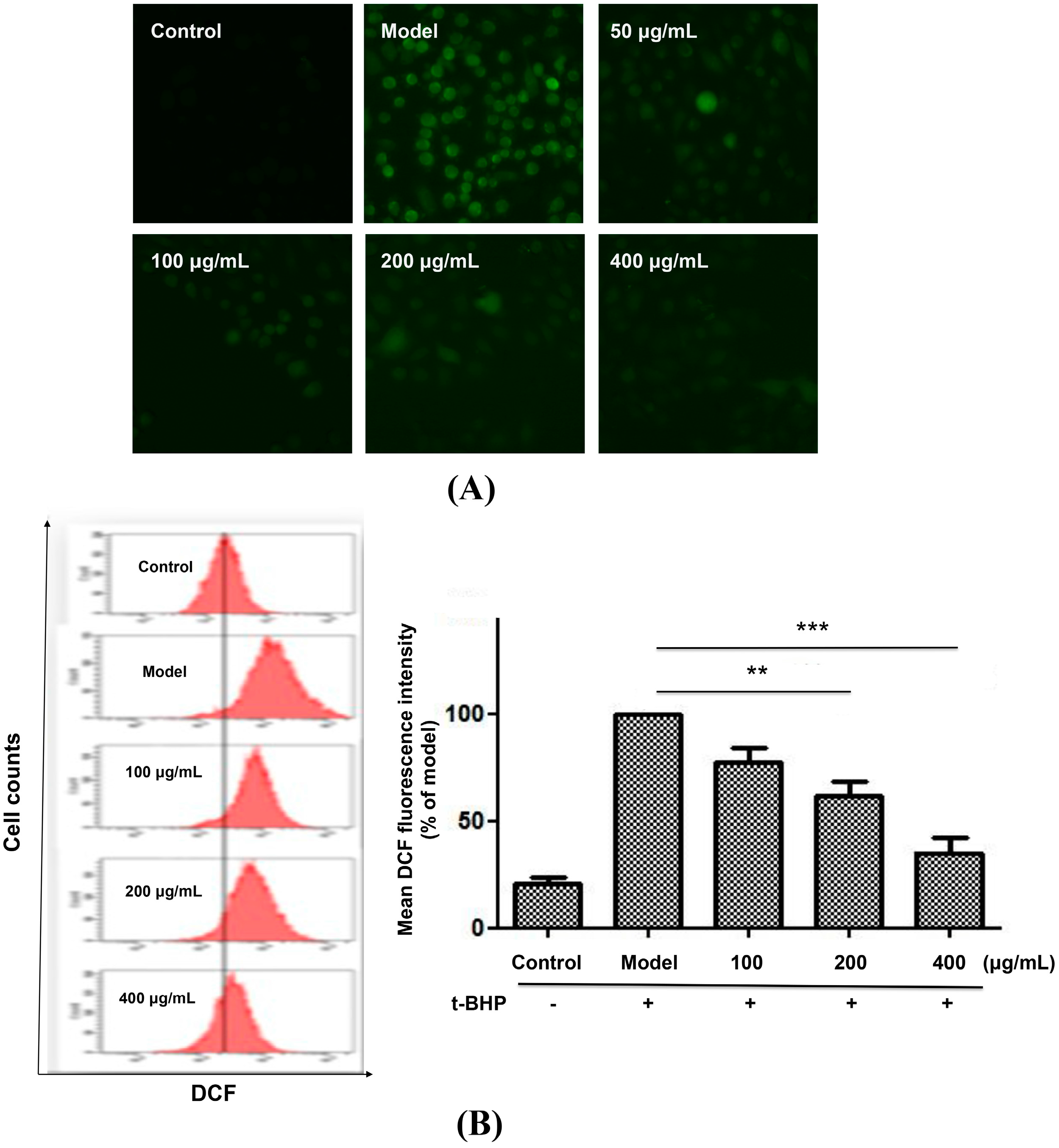 Molecules 20 06443 g004 550