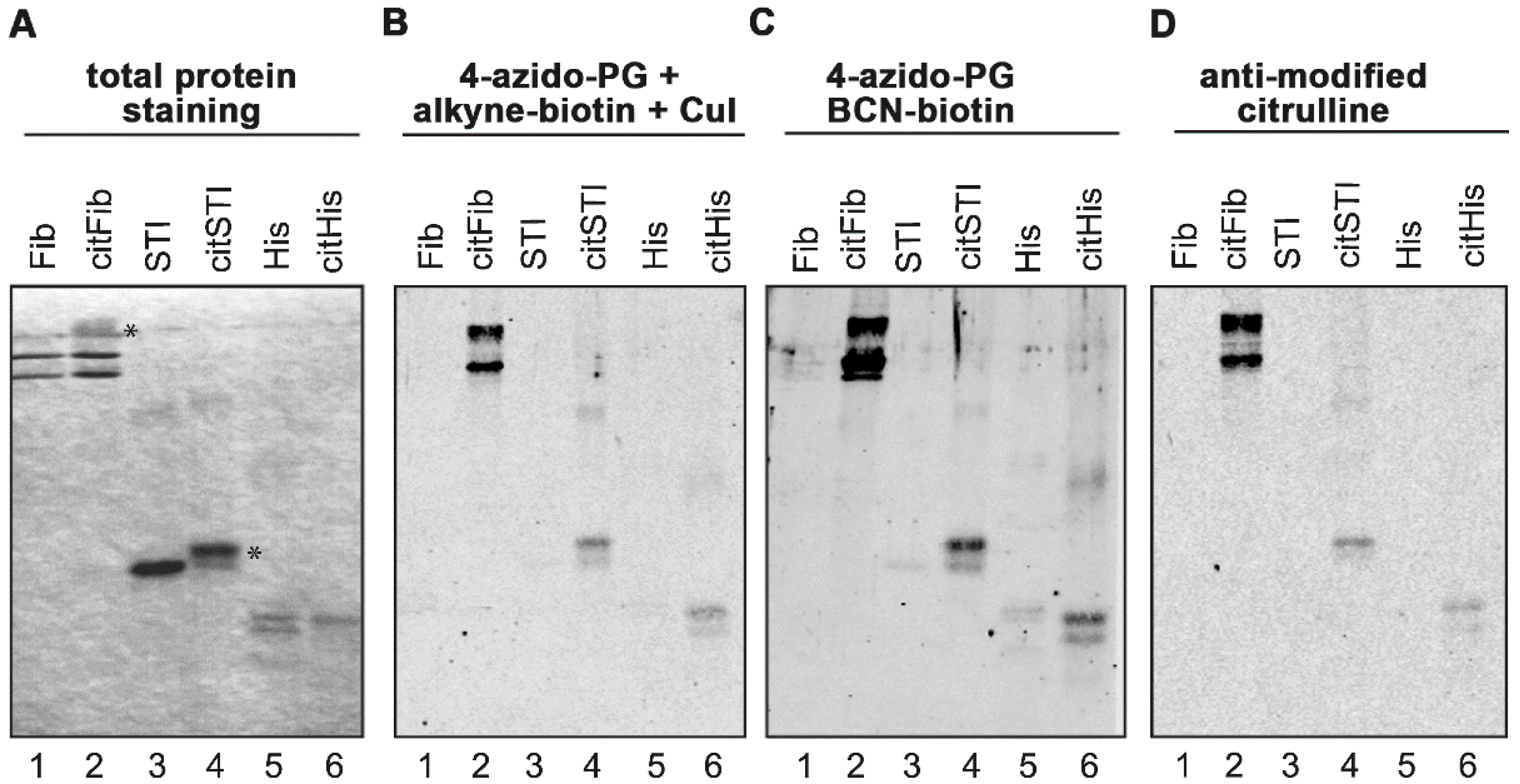 Molecules 20 06592 g001 550