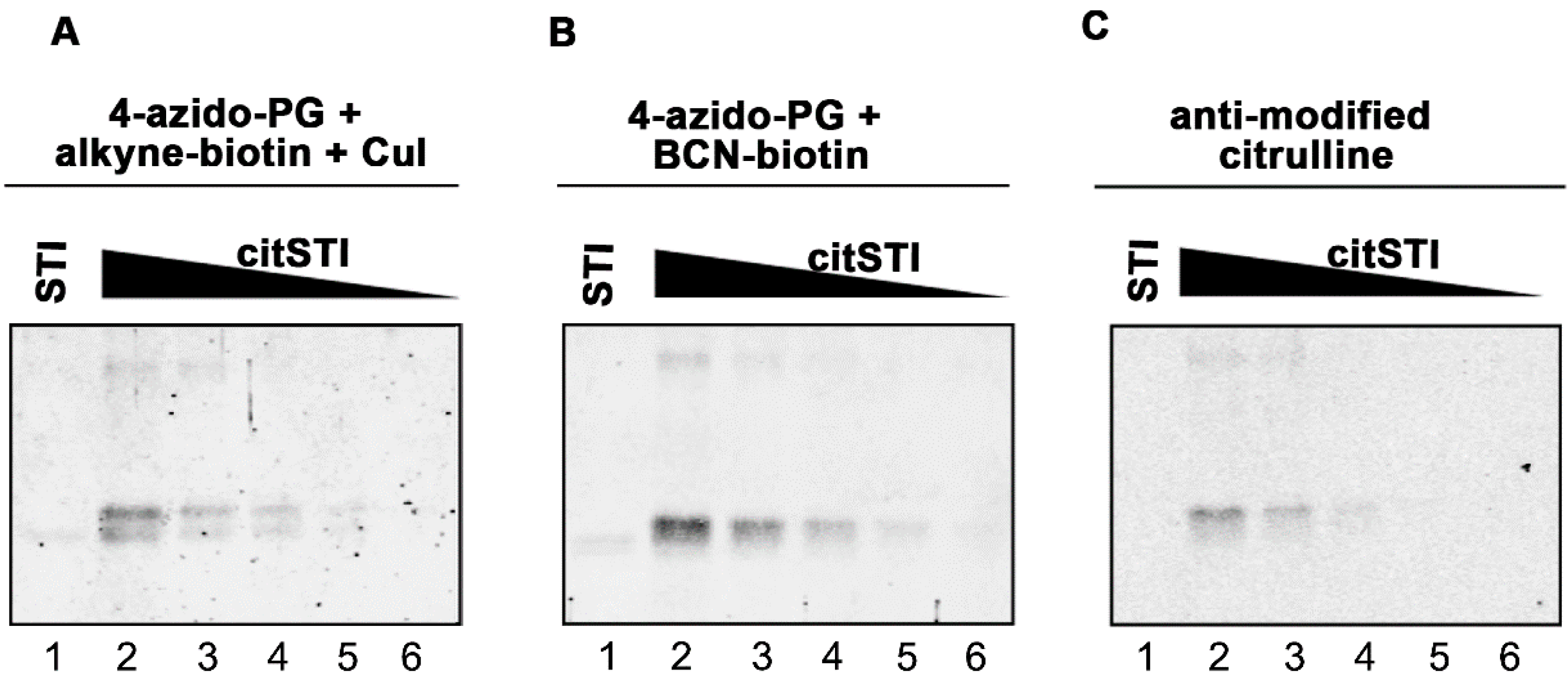 Molecules 20 06592 g002 550