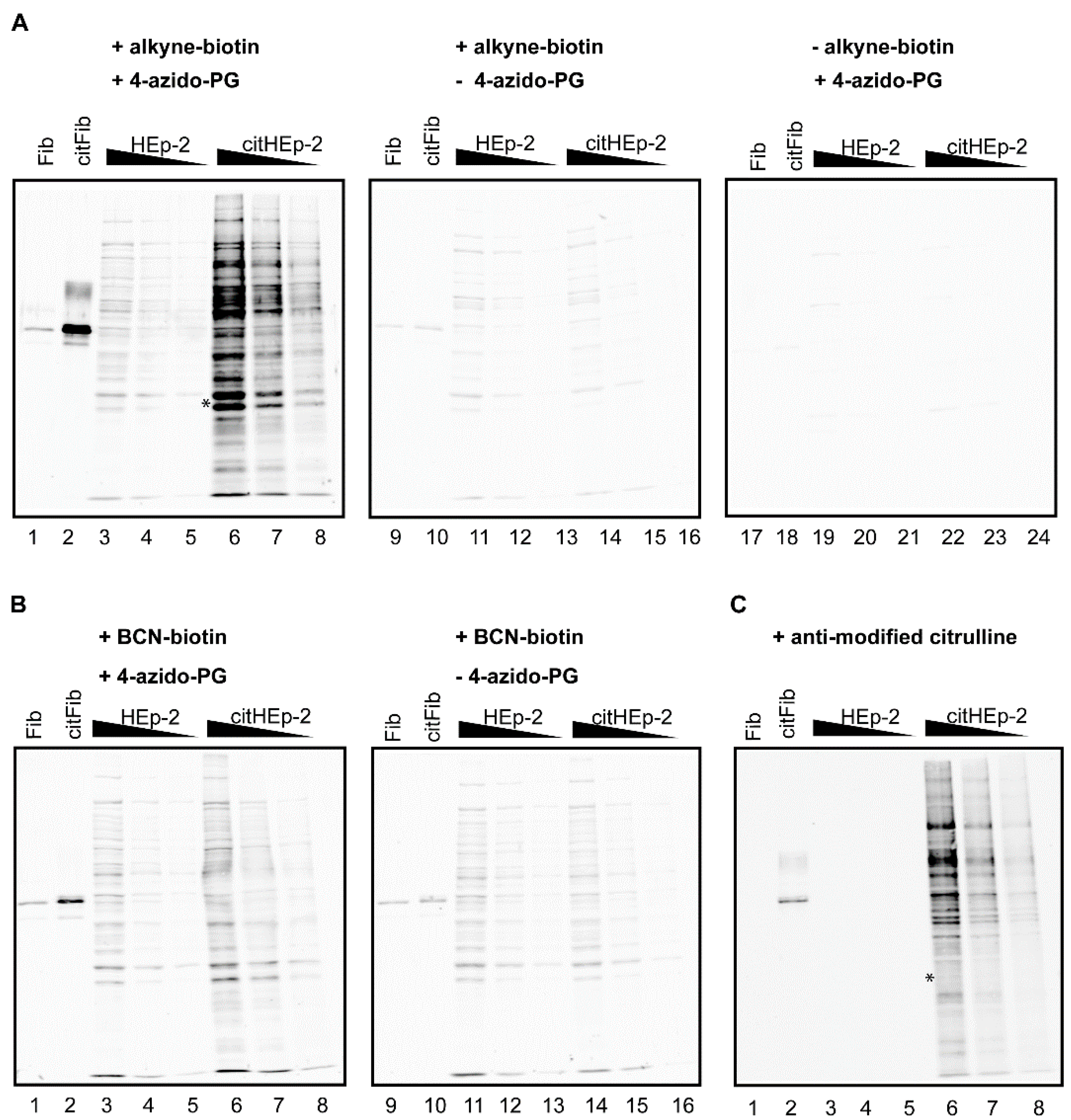 Molecules 20 06592 g003 550