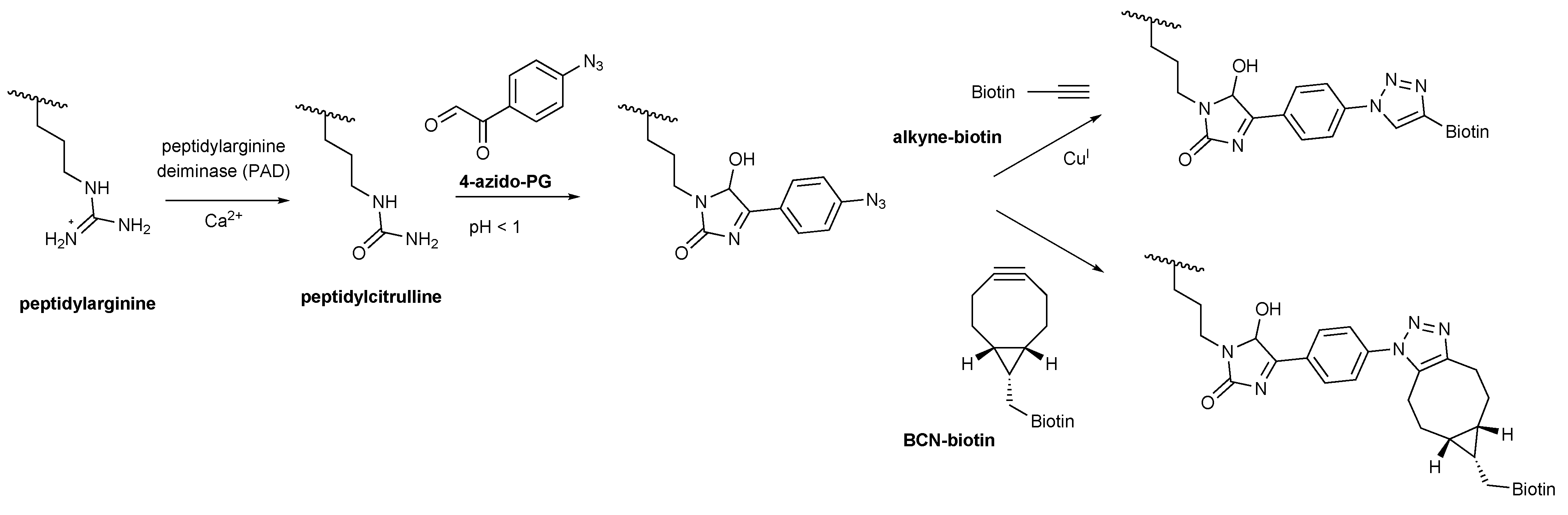 Molecules 20 06592 g004 550
