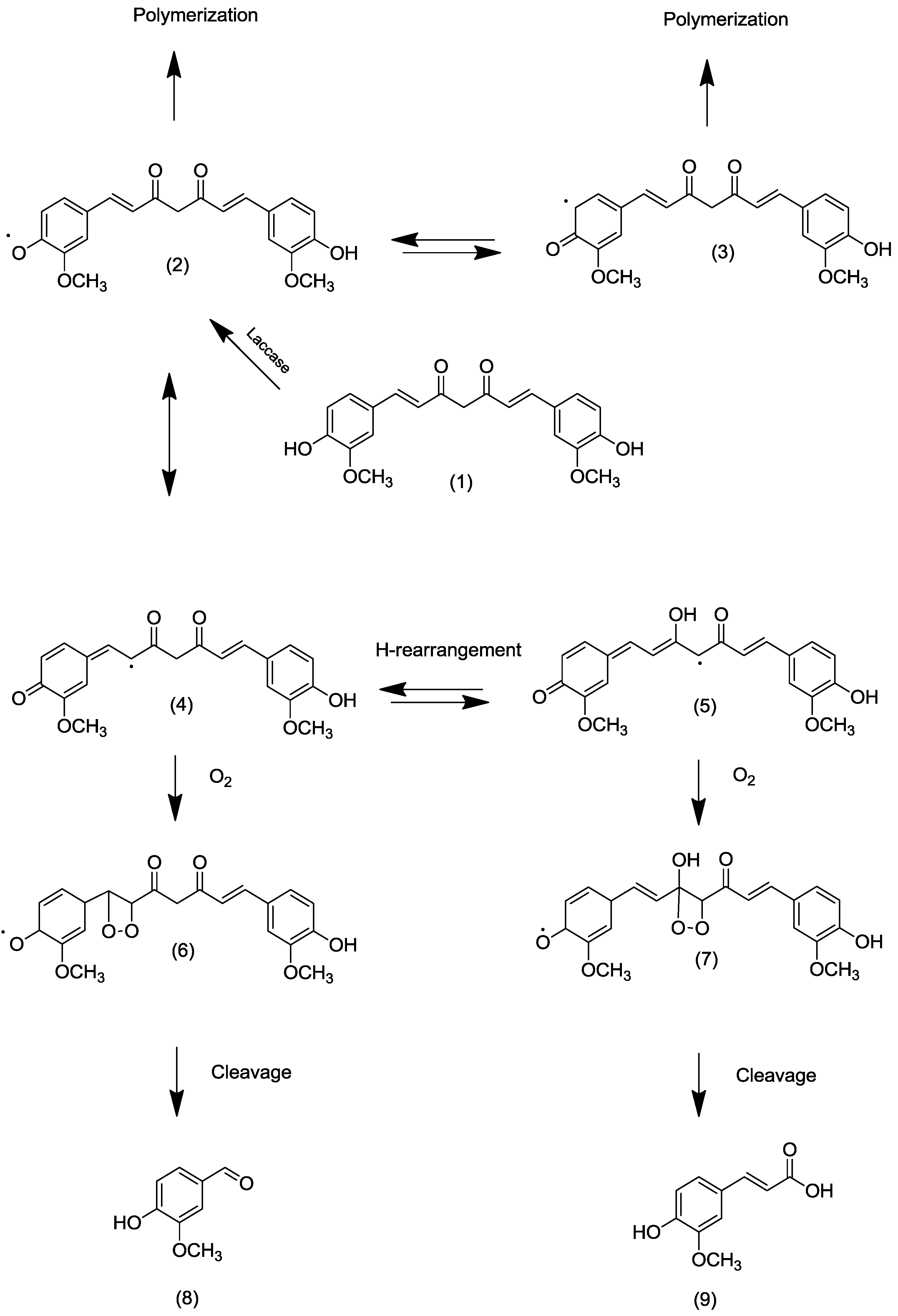 Molecules 20 06640 g001 550
