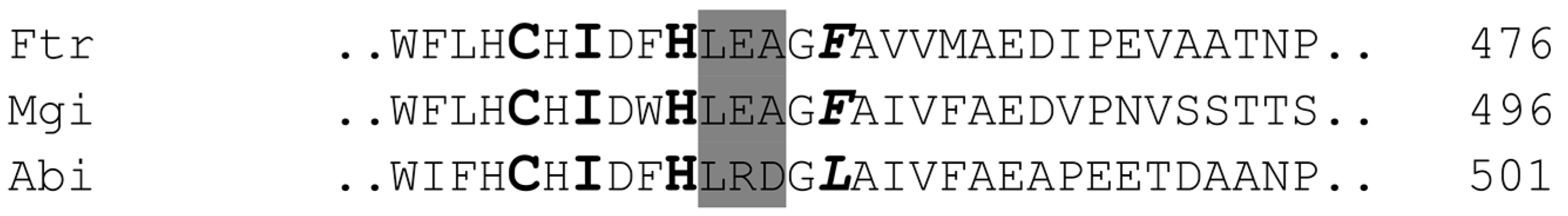 Molecules 20 06640 g002 550