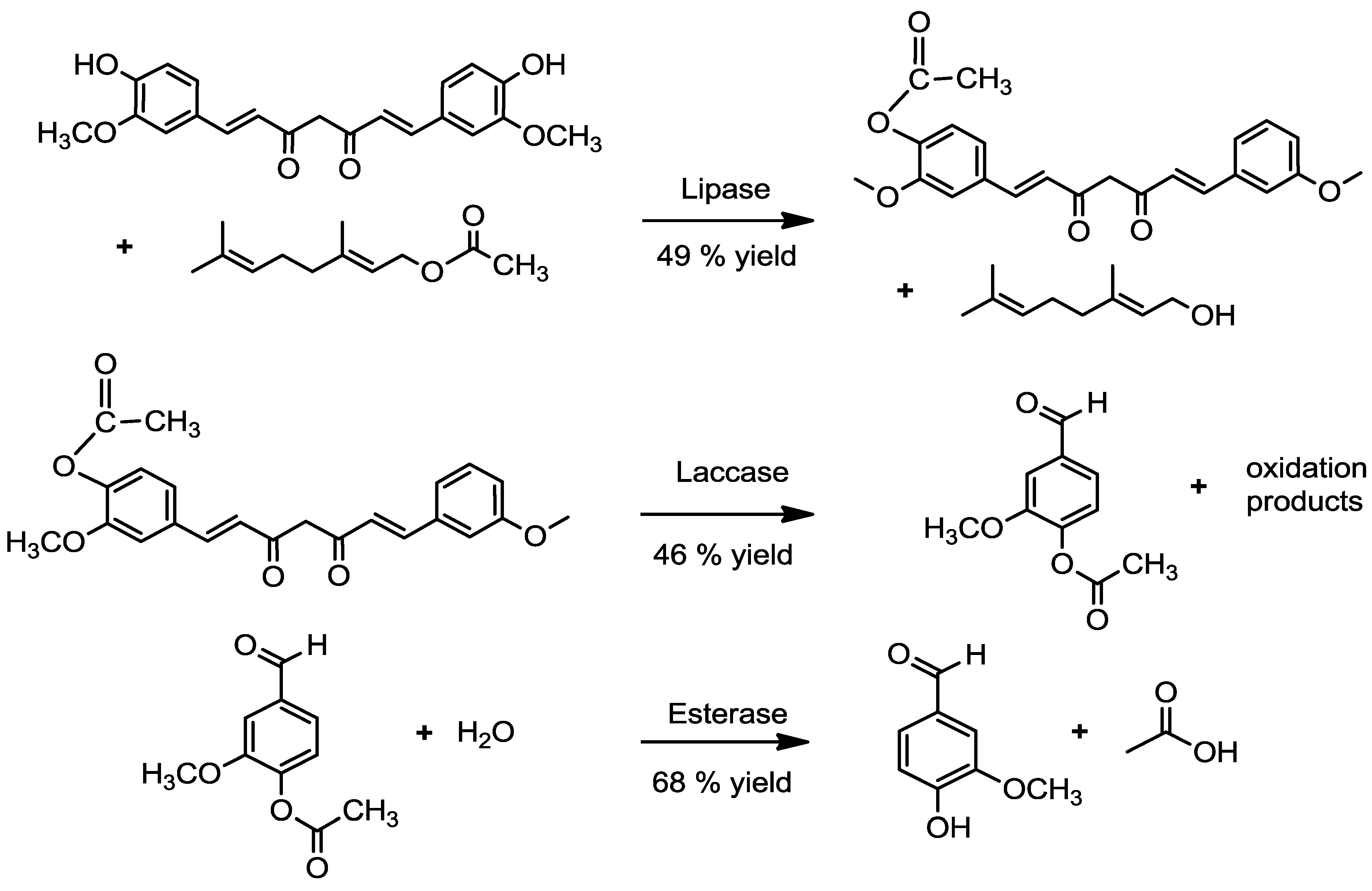 Molecules Free FullText A ThreeEnzymeSystem to Degrade Curcumin