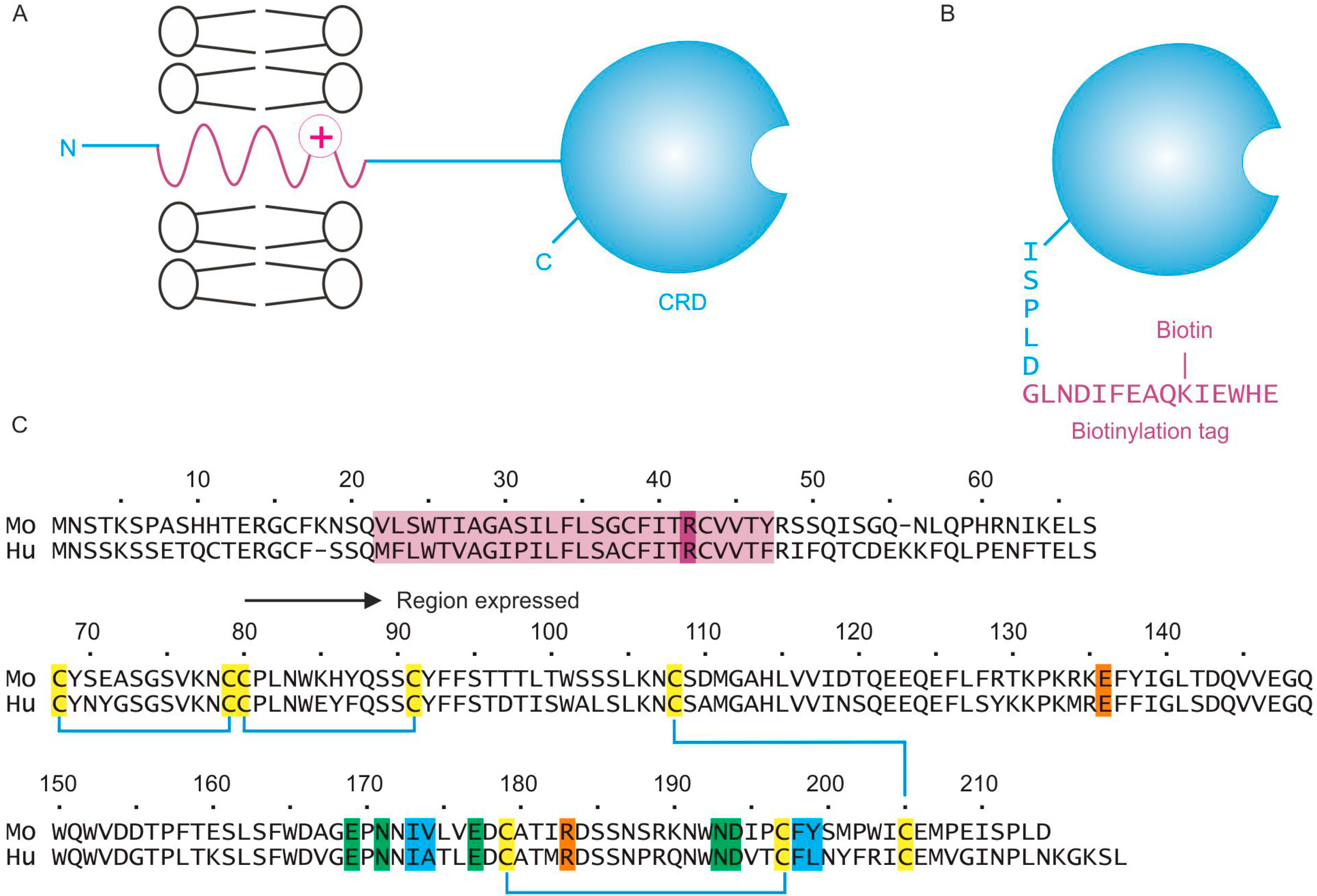 Molecules 20 06670 g001 550