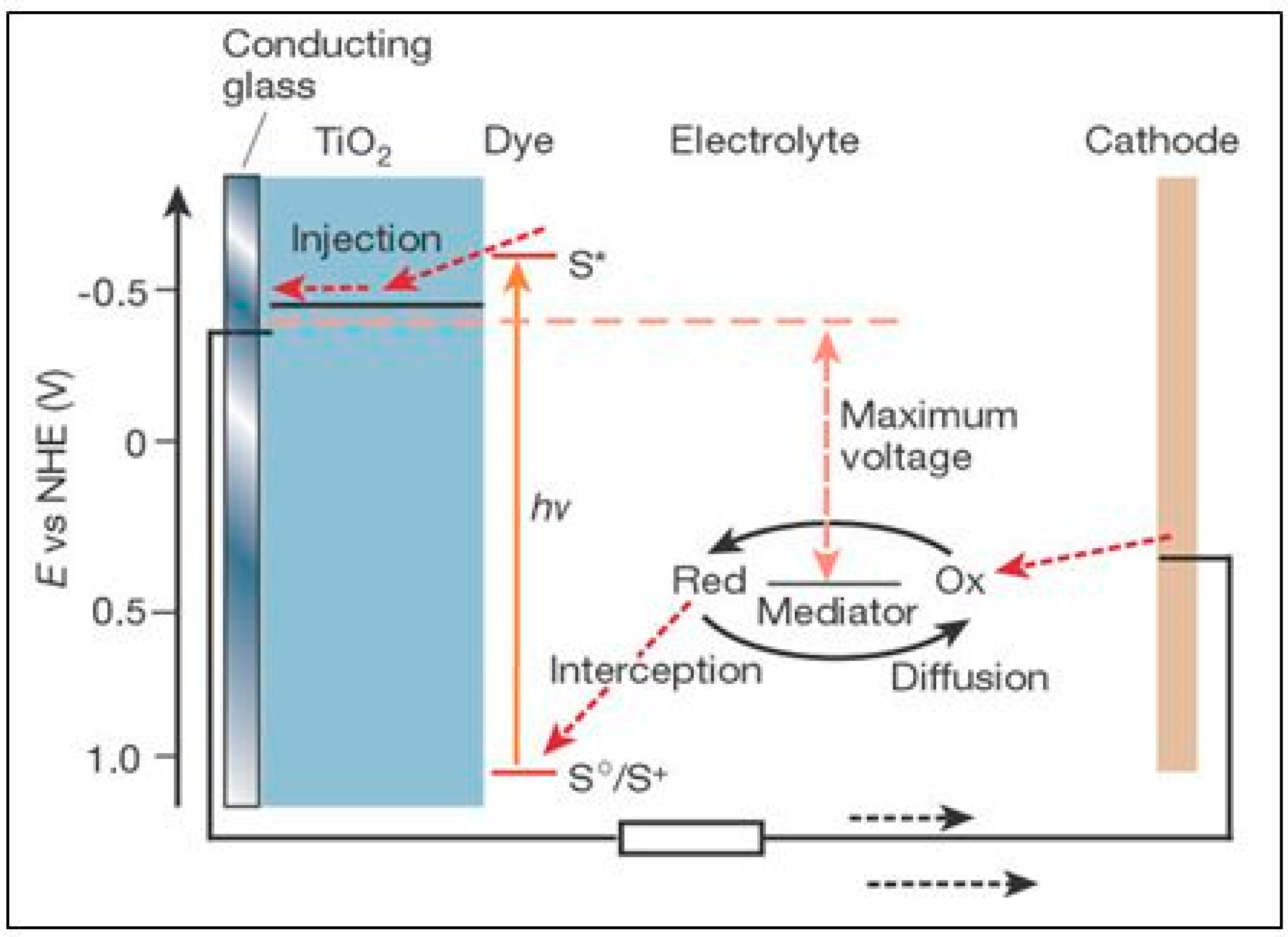 Molecules 20 06739 g006