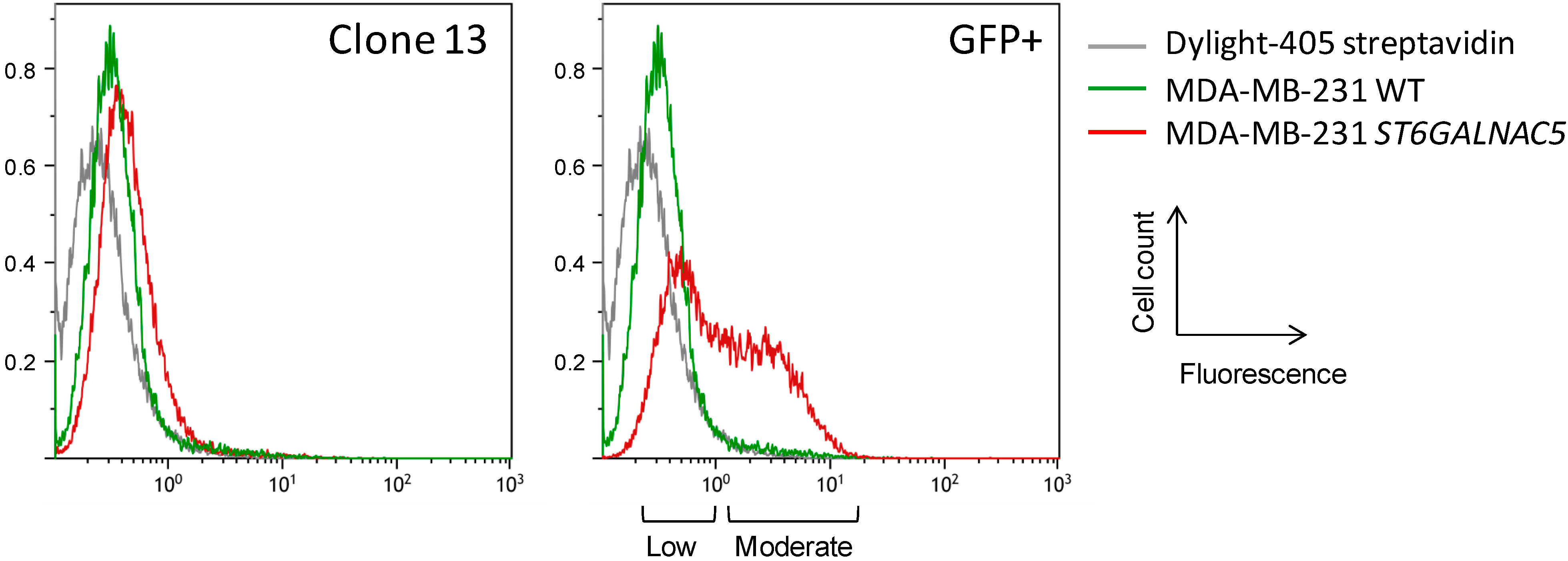 Molecules 20 06913 g003