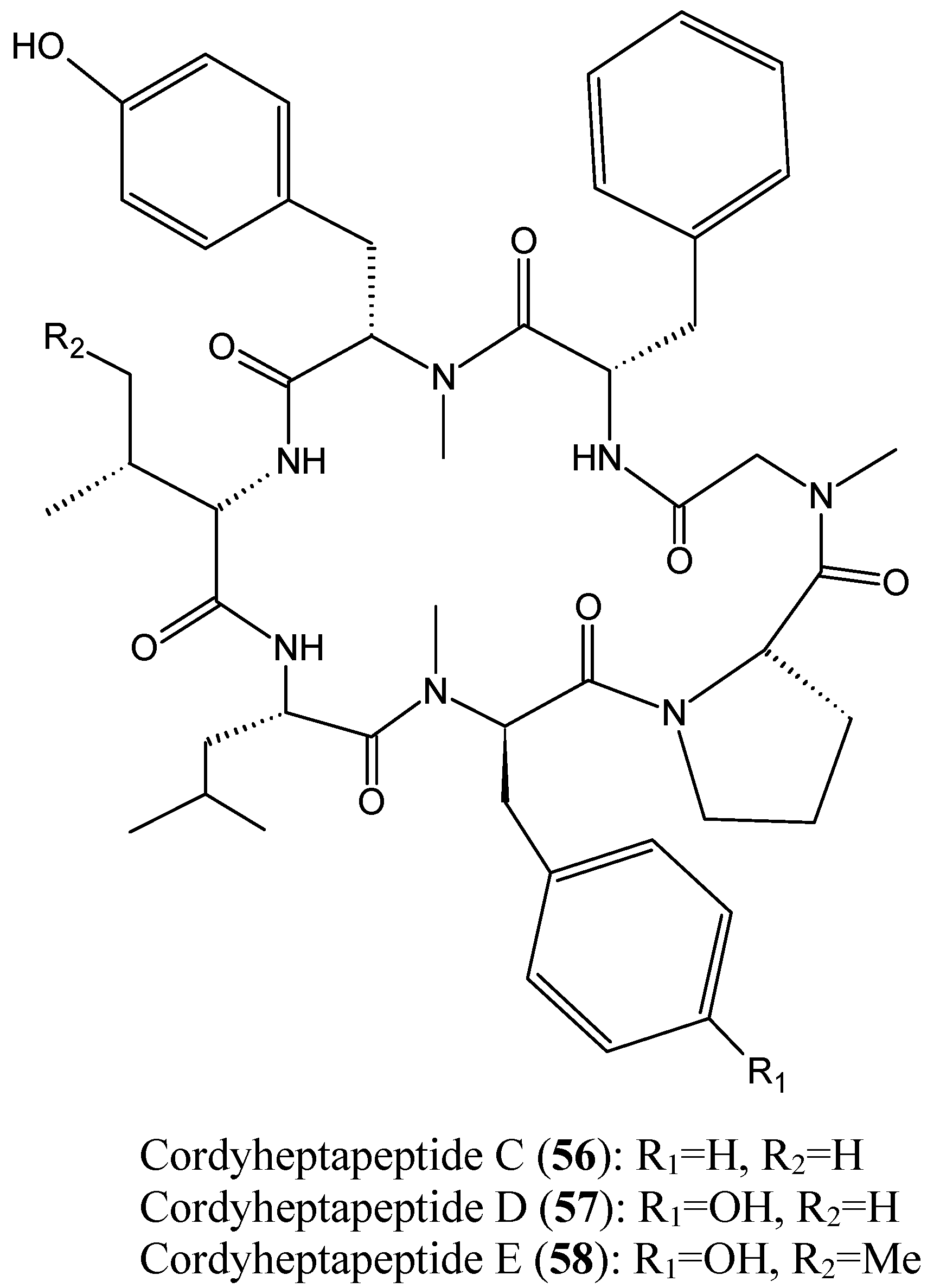 Molecules 20 07097 g020