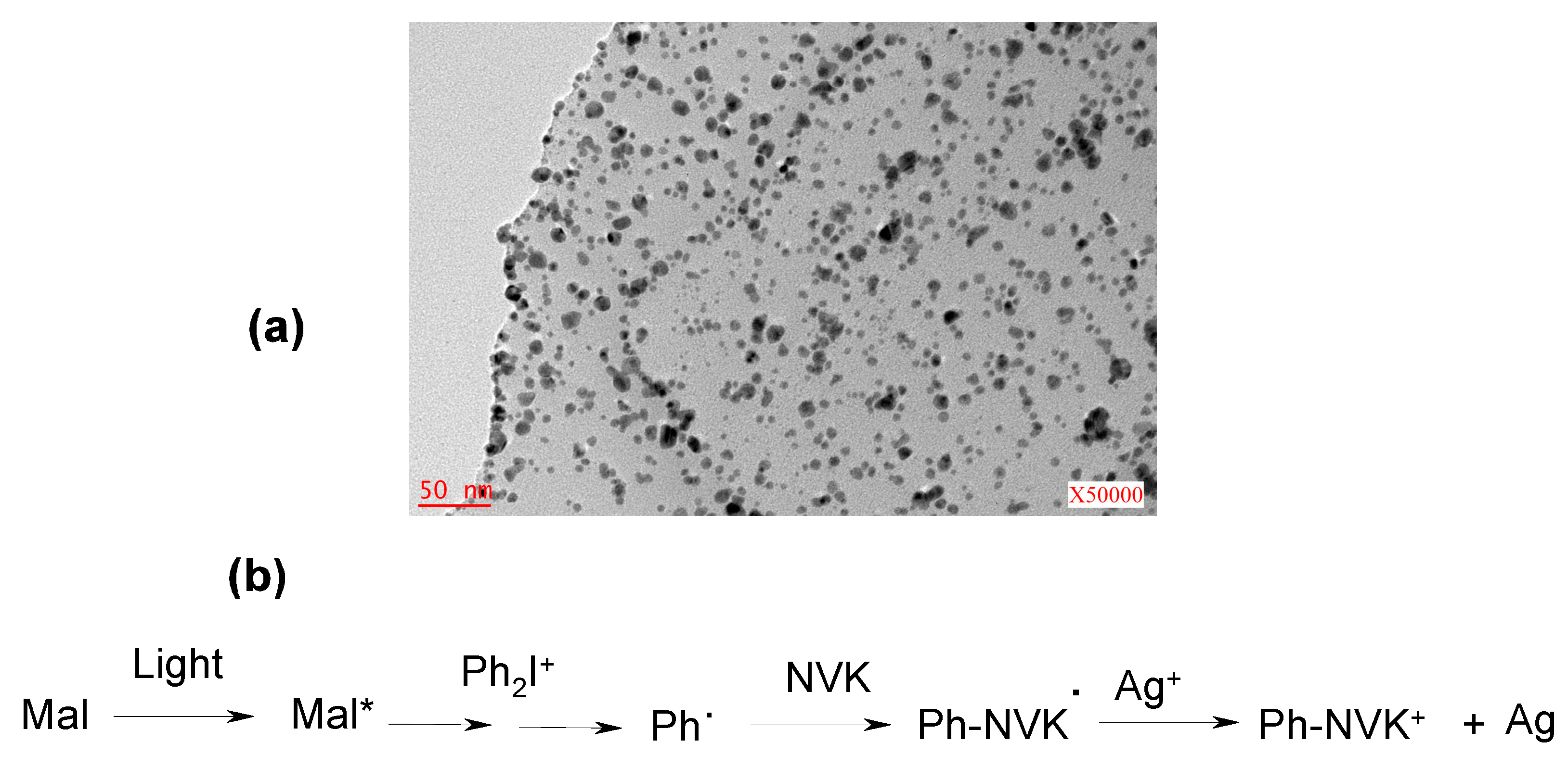 Molecules 20 07201 g009