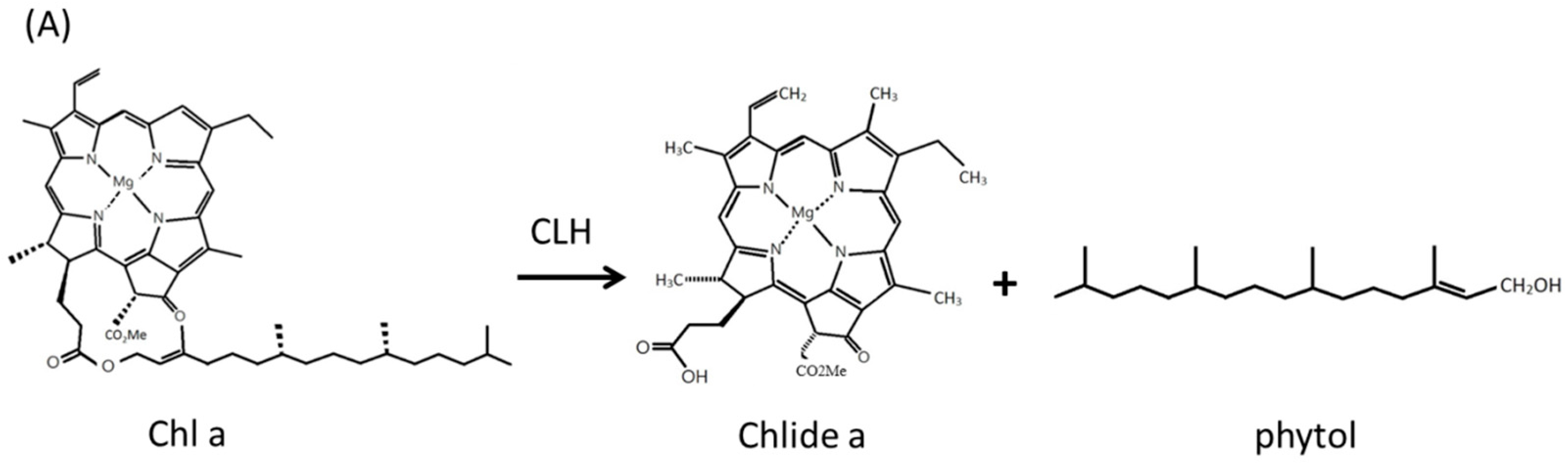 Molecules 20 07325 g004a