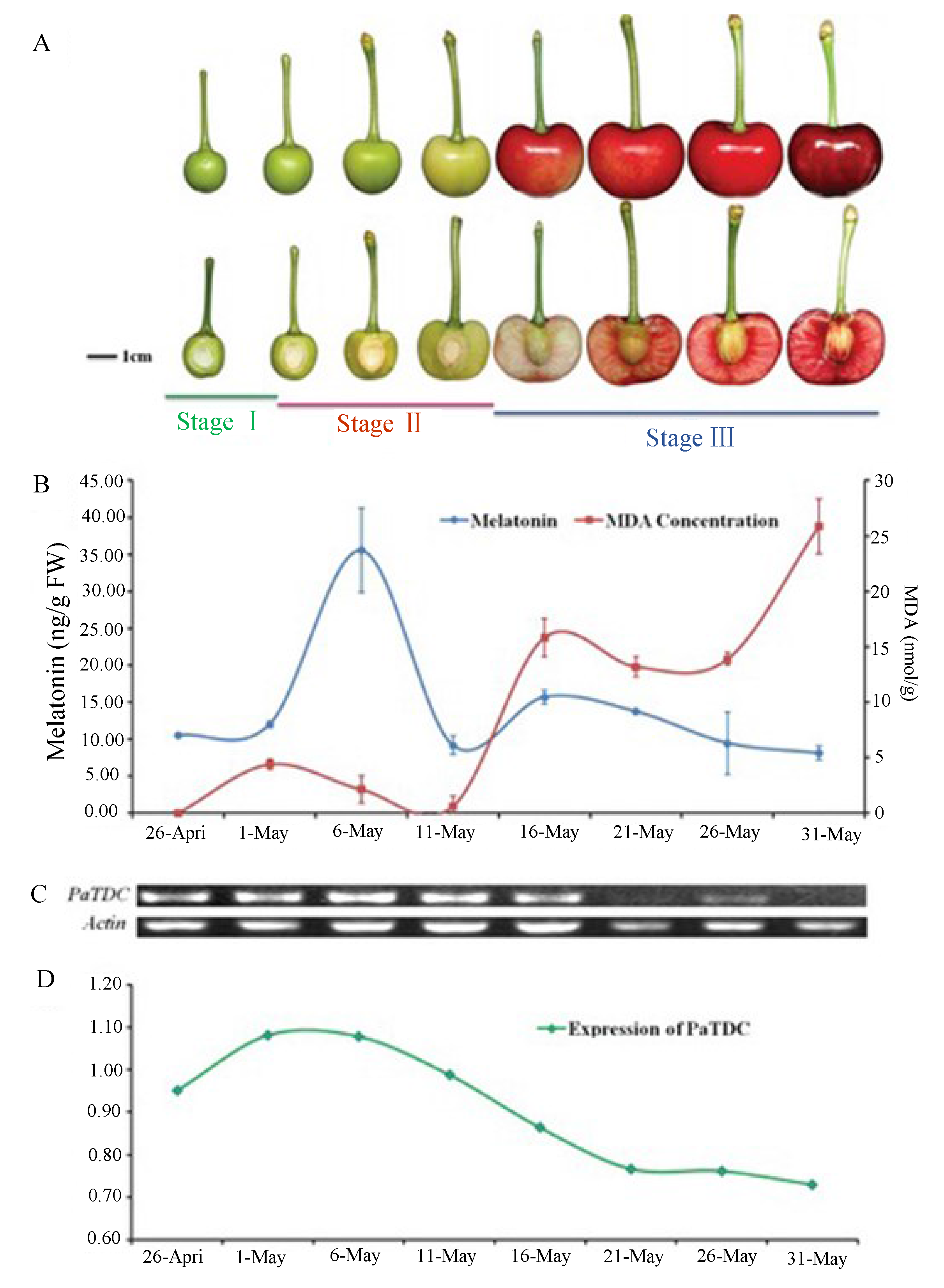 Molecules 20 07396 g002