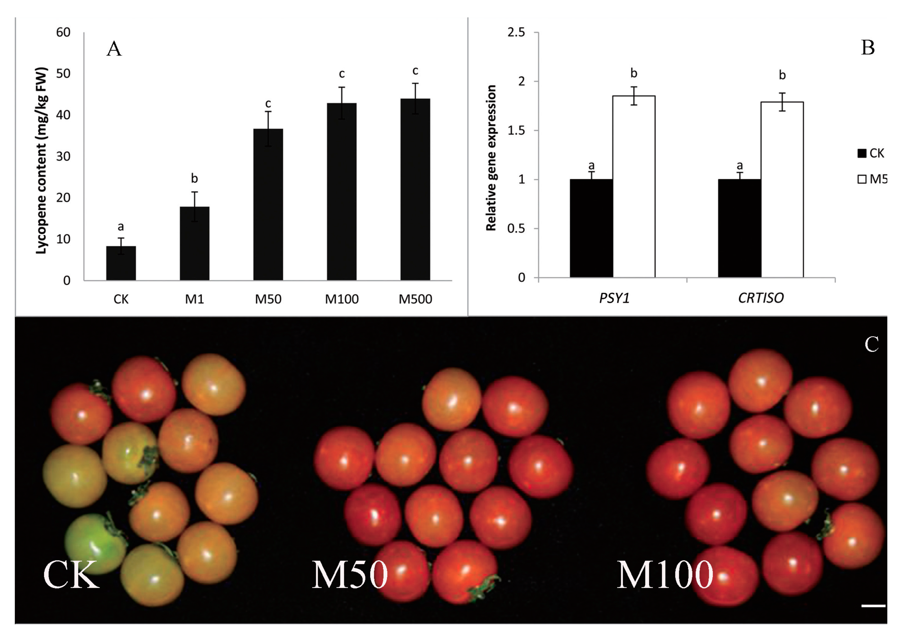 Molecules 20 07396 g012