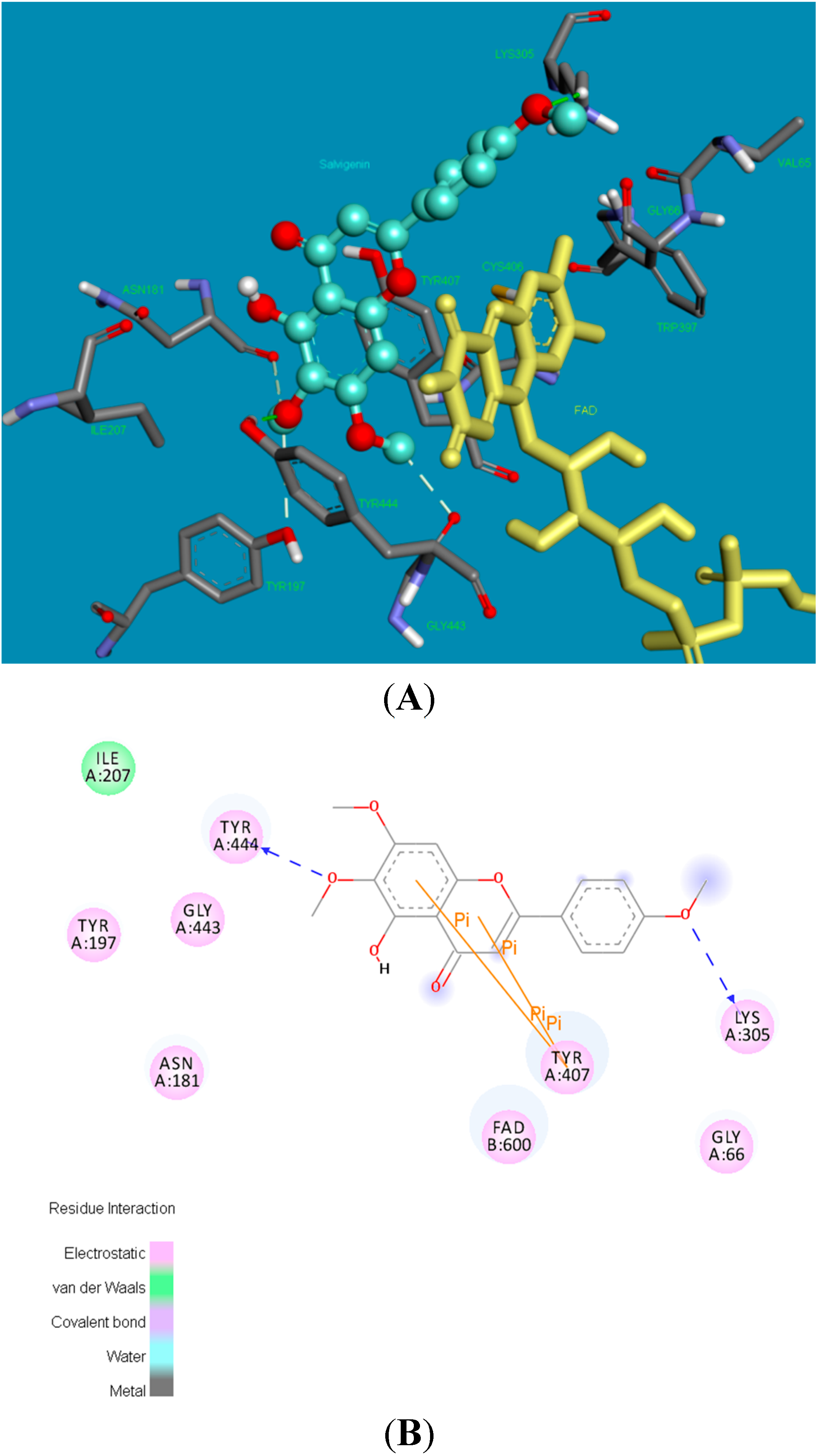 Molecules 20 07454 g005