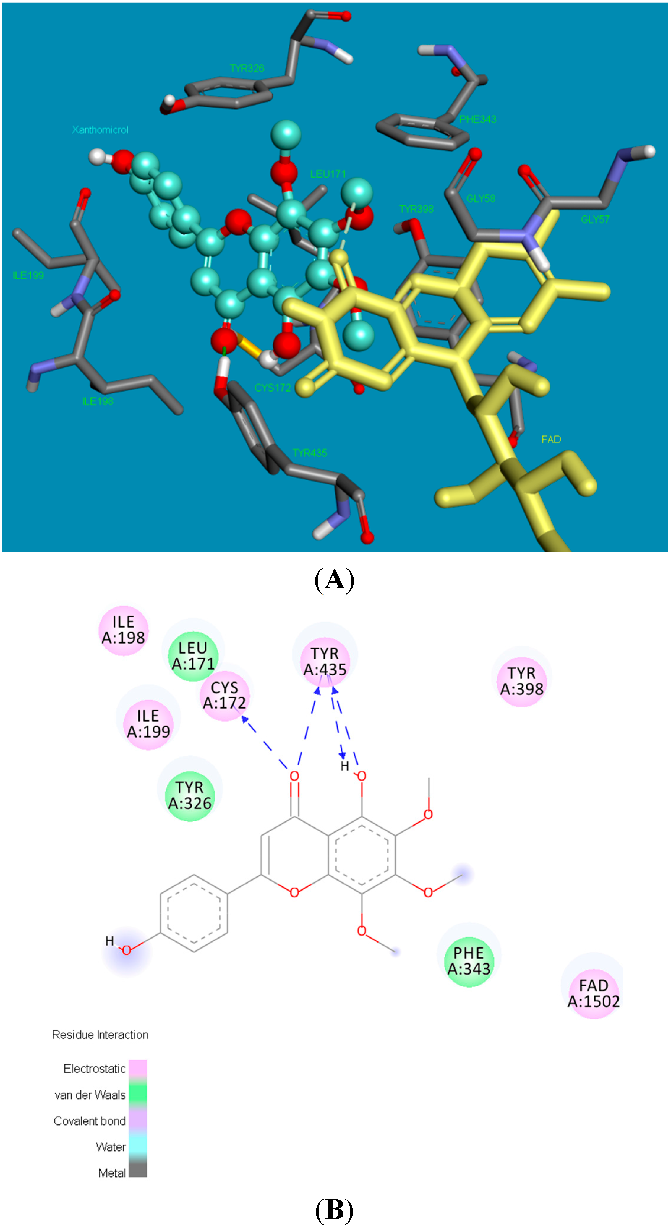 Molecules 20 07454 g006