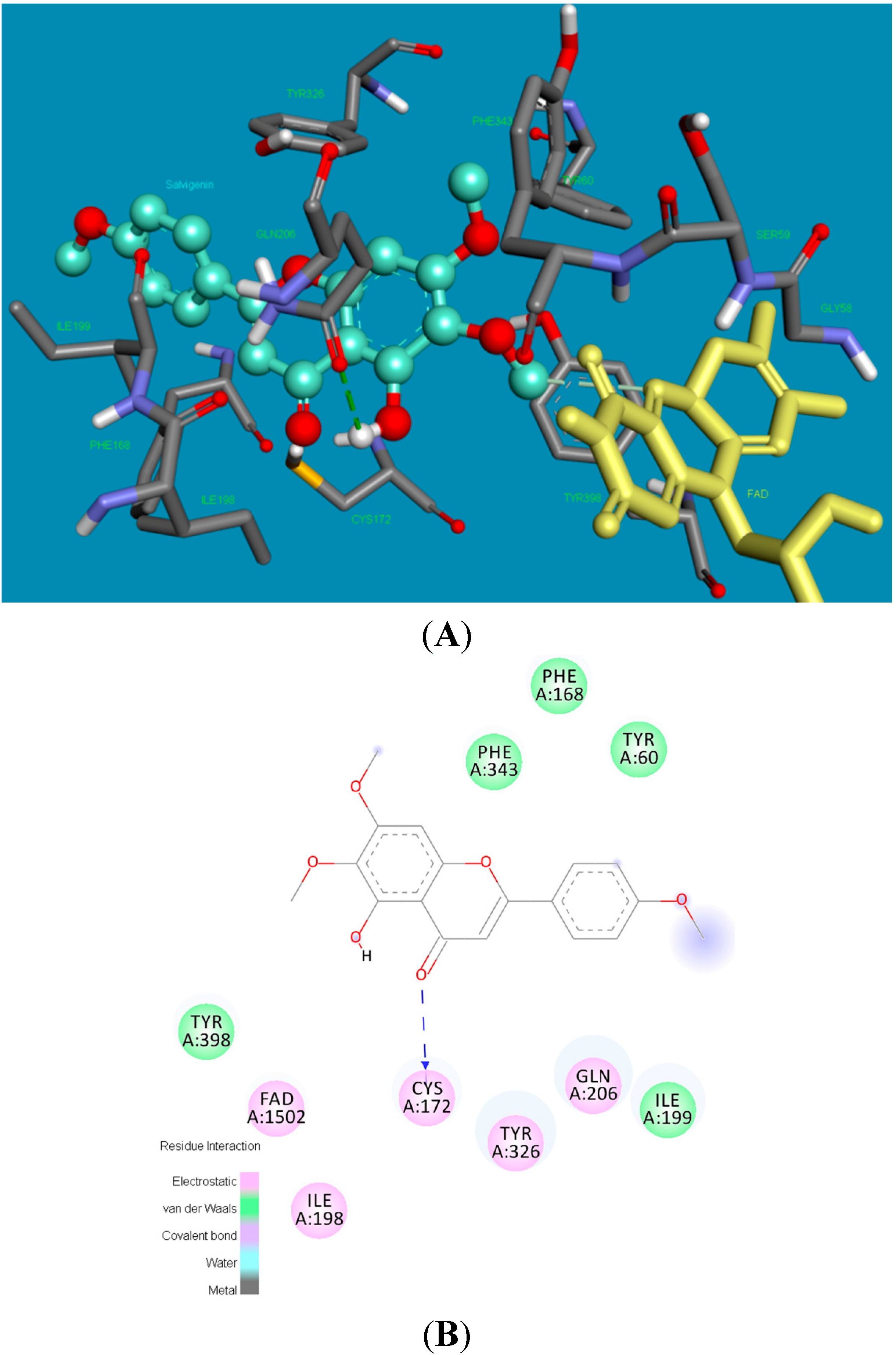 Molecules 20 07454 g007