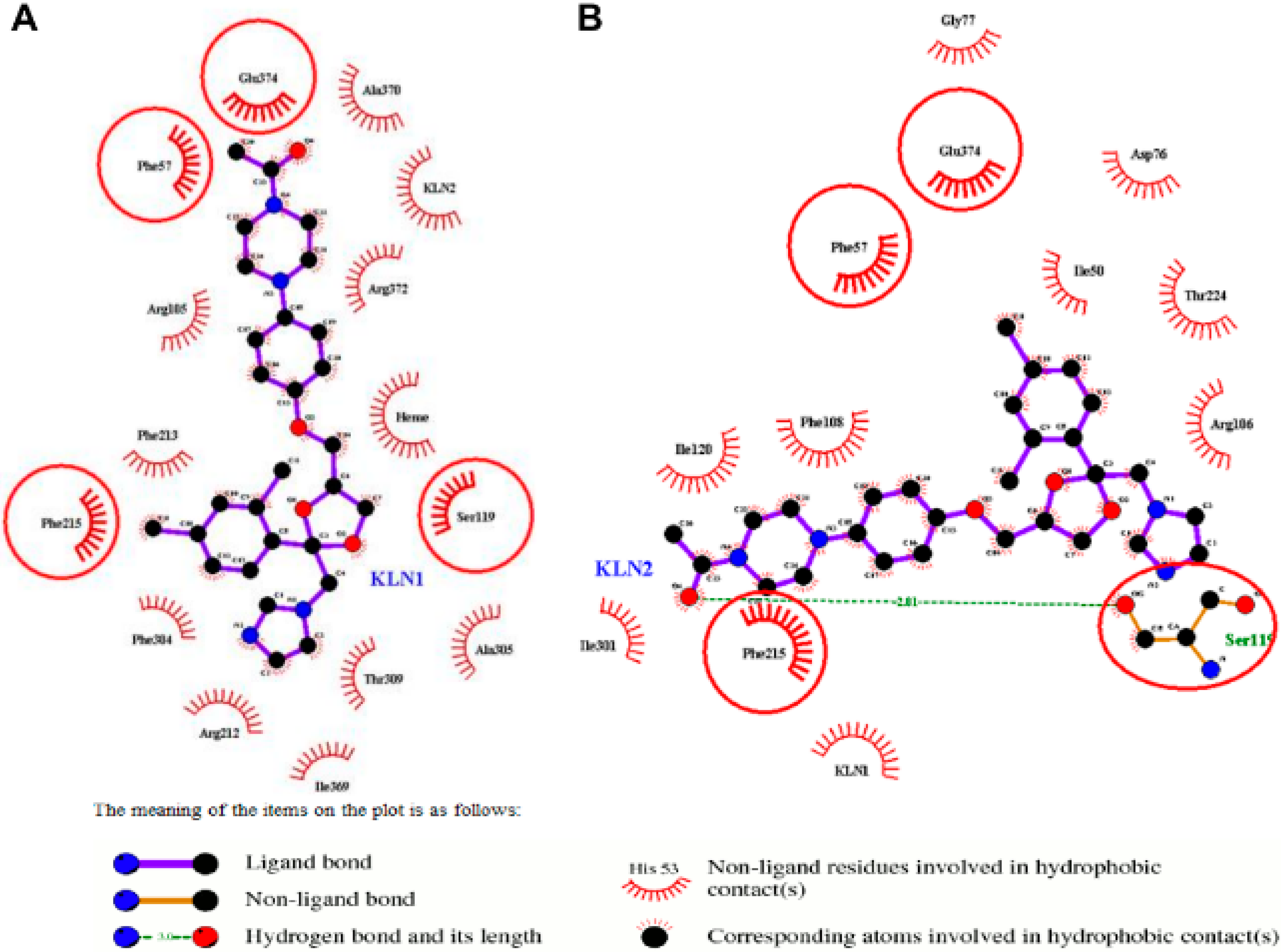 Pipi Stacking Mediated Cooperative Mechanism for Human Cytochrome P450 3A4