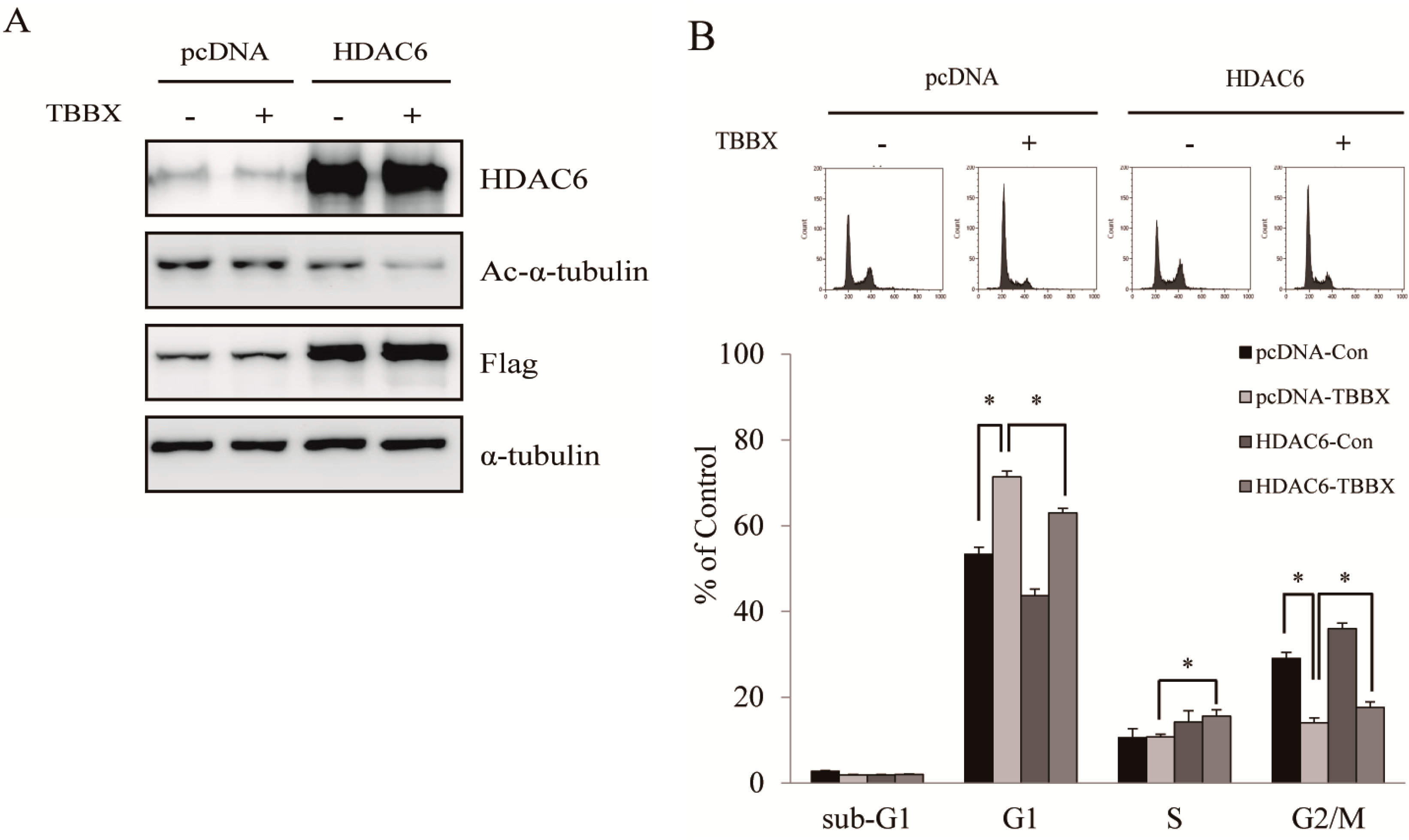 Molecules 20 08000 g008