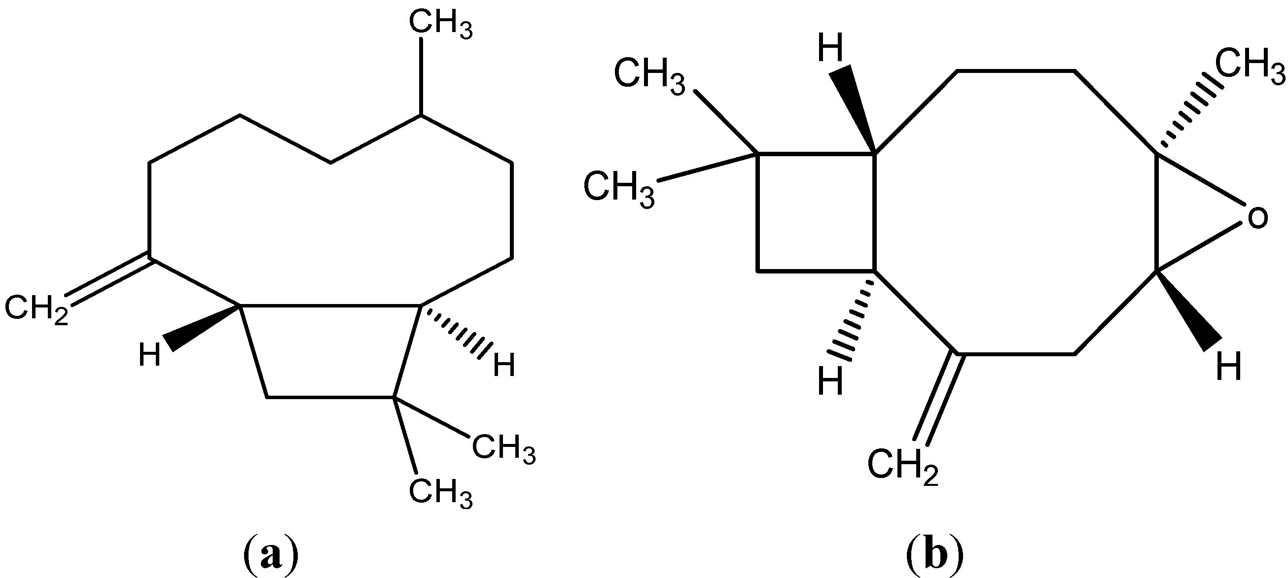 Molecules 20 08048 g001