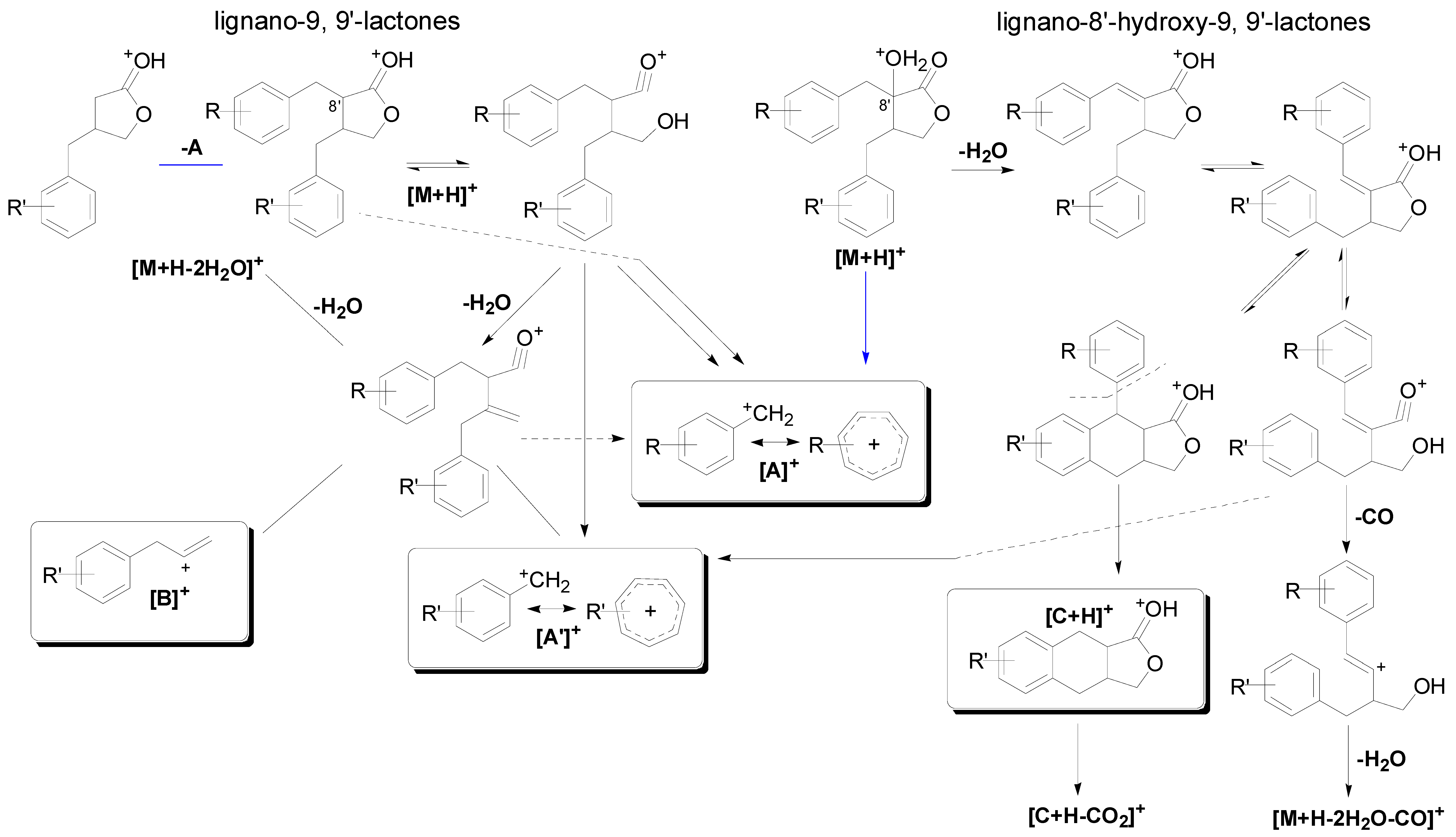 Molecules 20 08107 g003