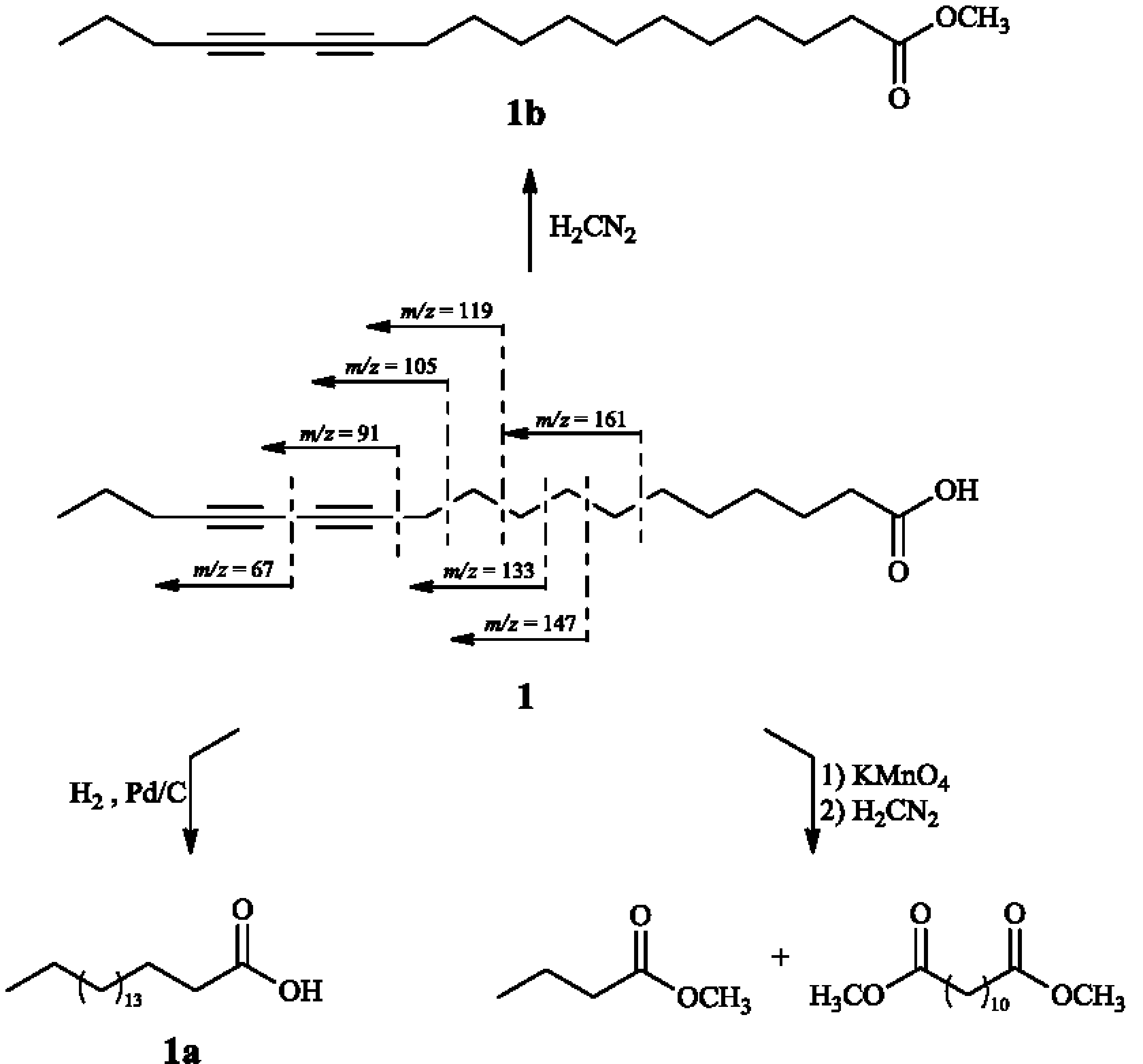 Molecules 20 08168 g003