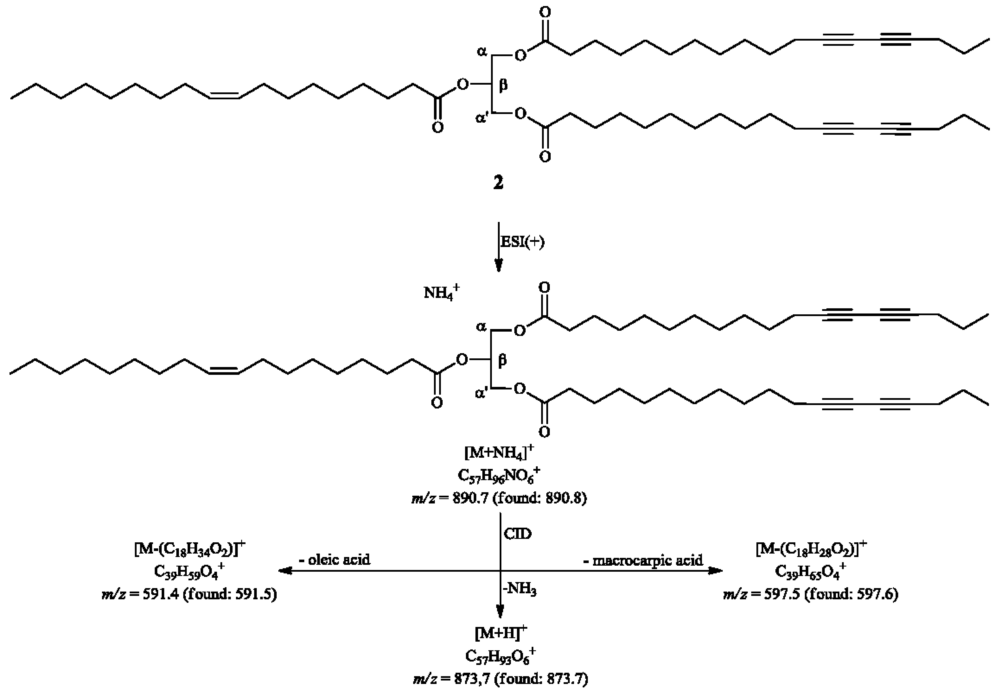 Molecules 20 08168 g004