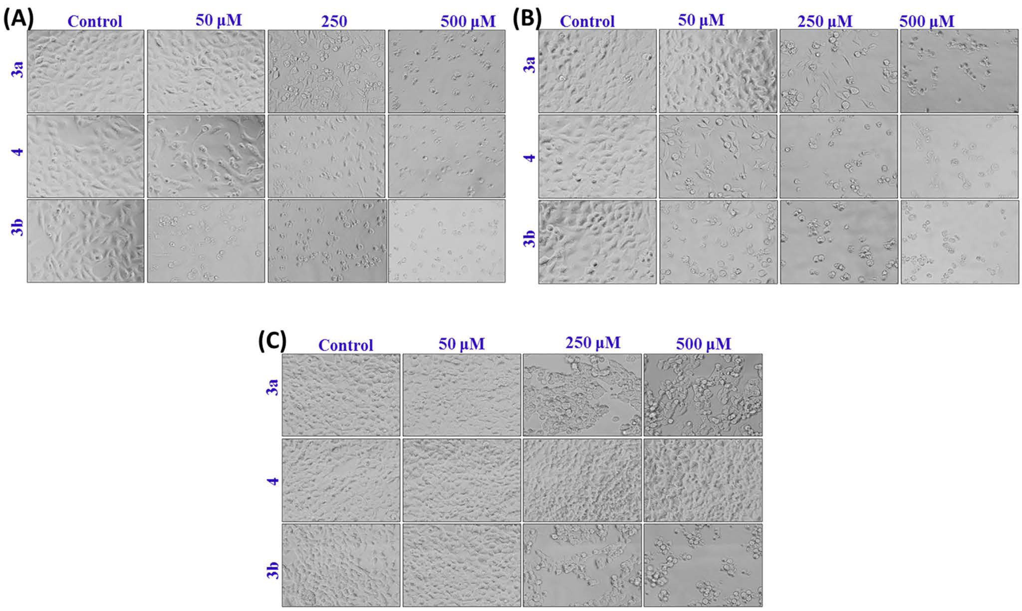 Molecules 20 08181 g003