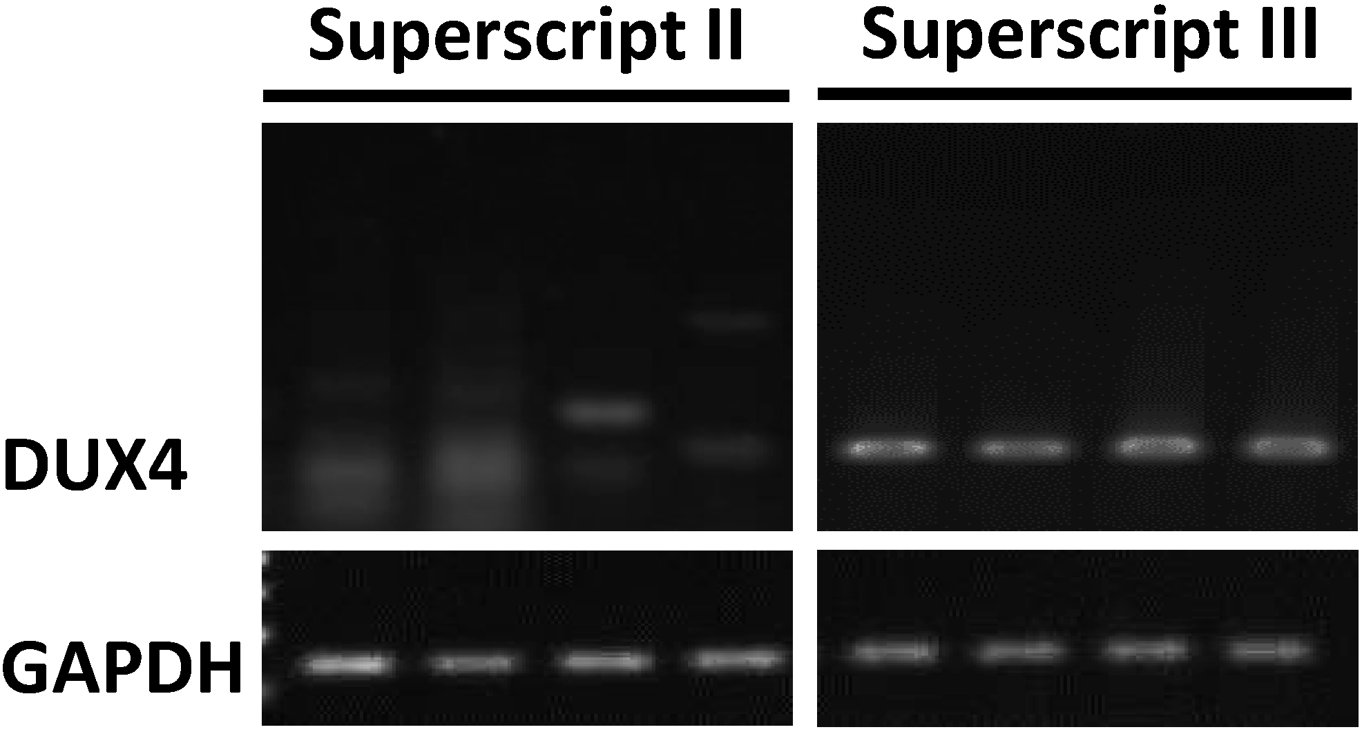 Molecules 20 08304 g001