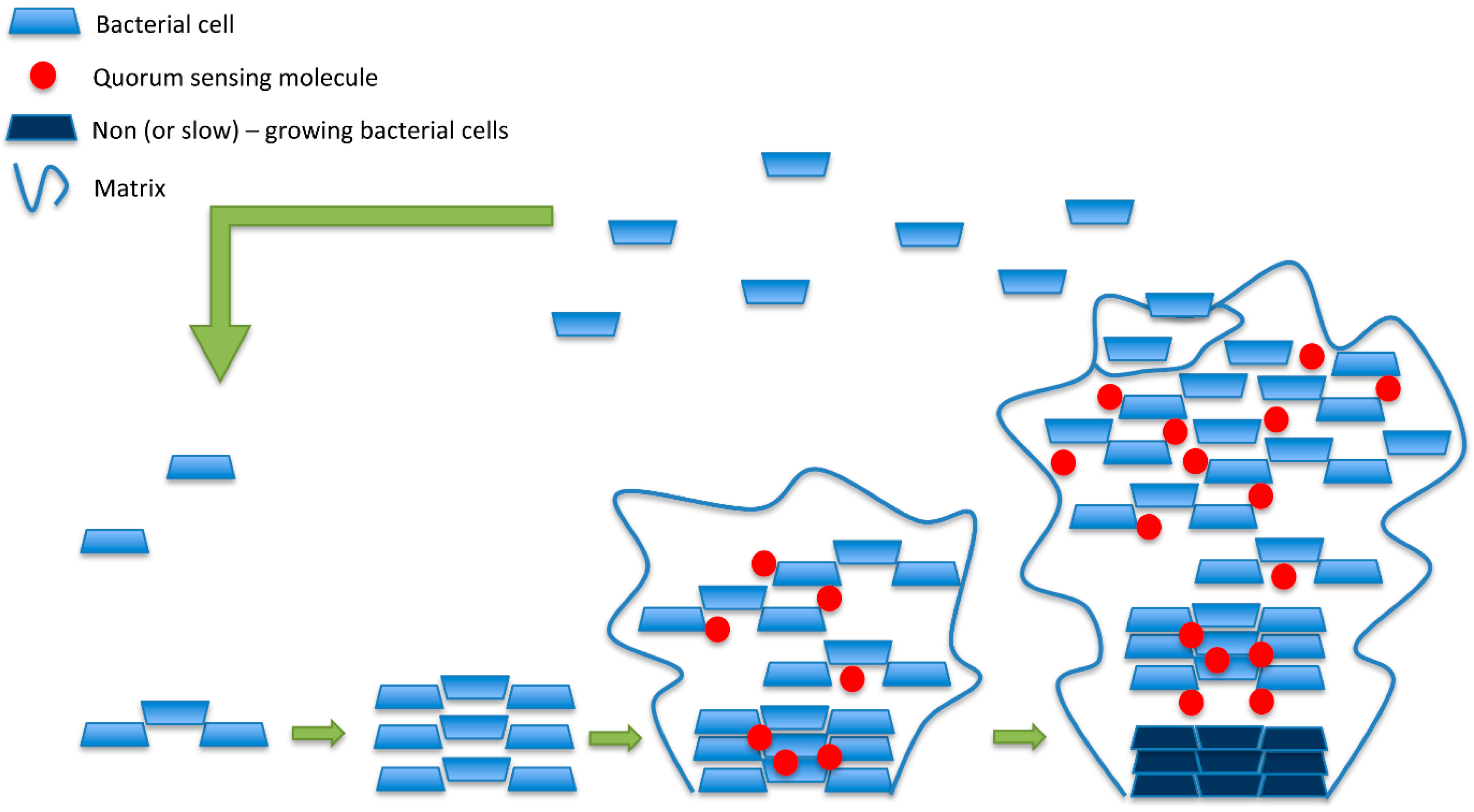 Molecules 20 08856 g003