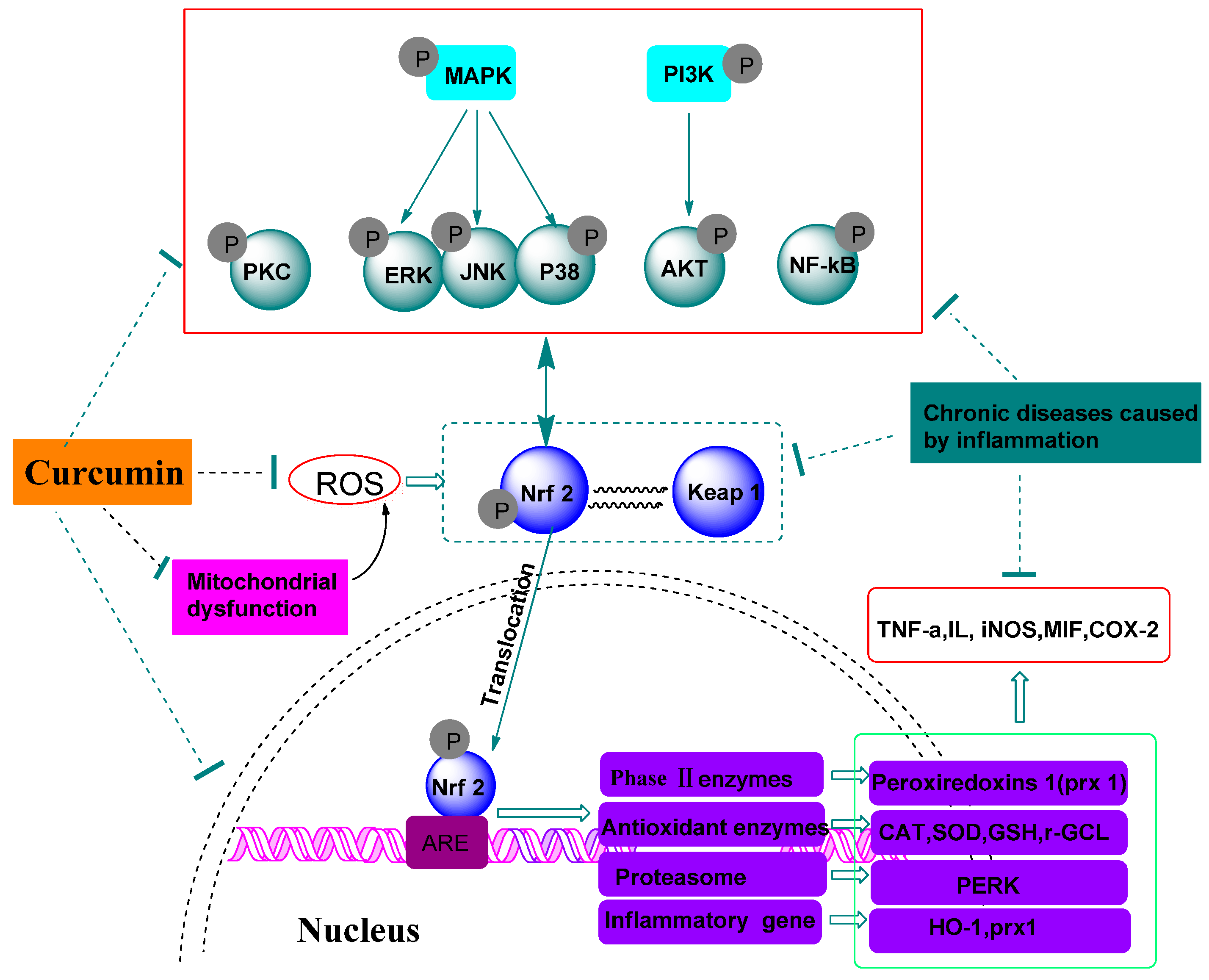 Molecules 20 09183 g001