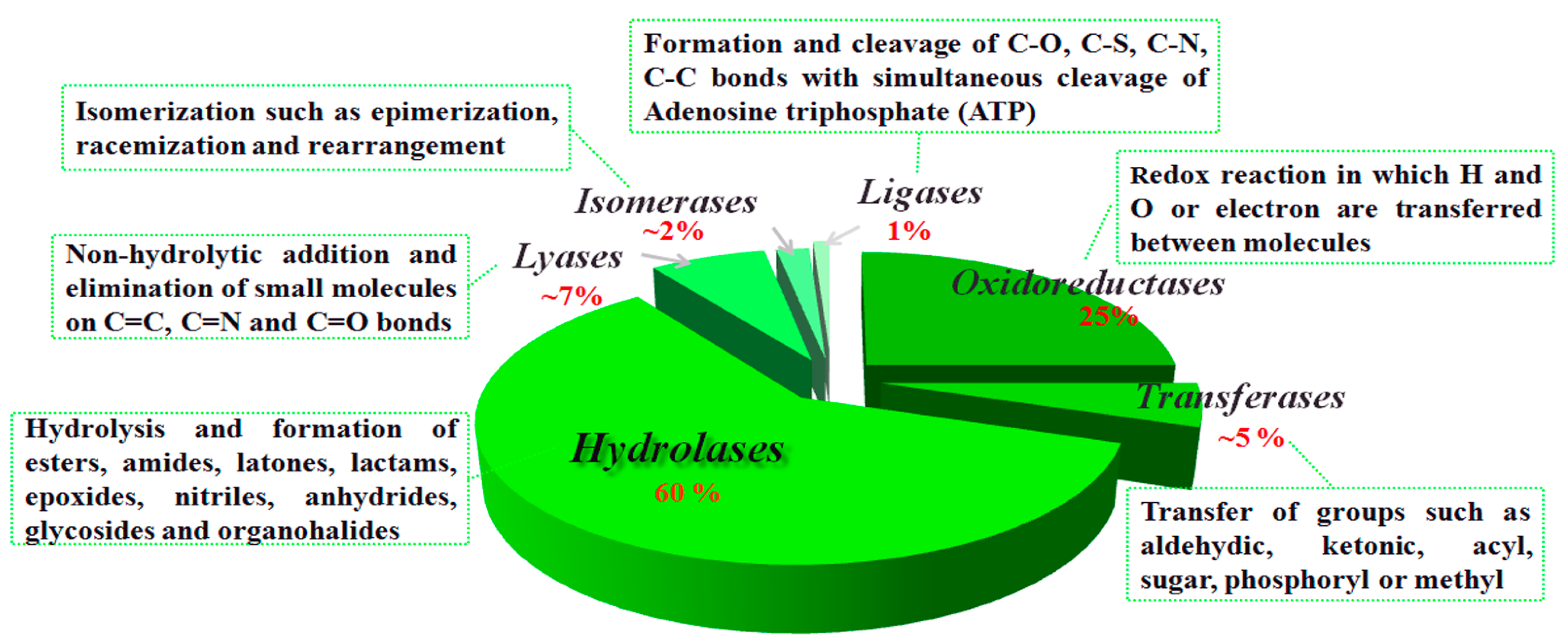 Molecules 20 09358 g001
