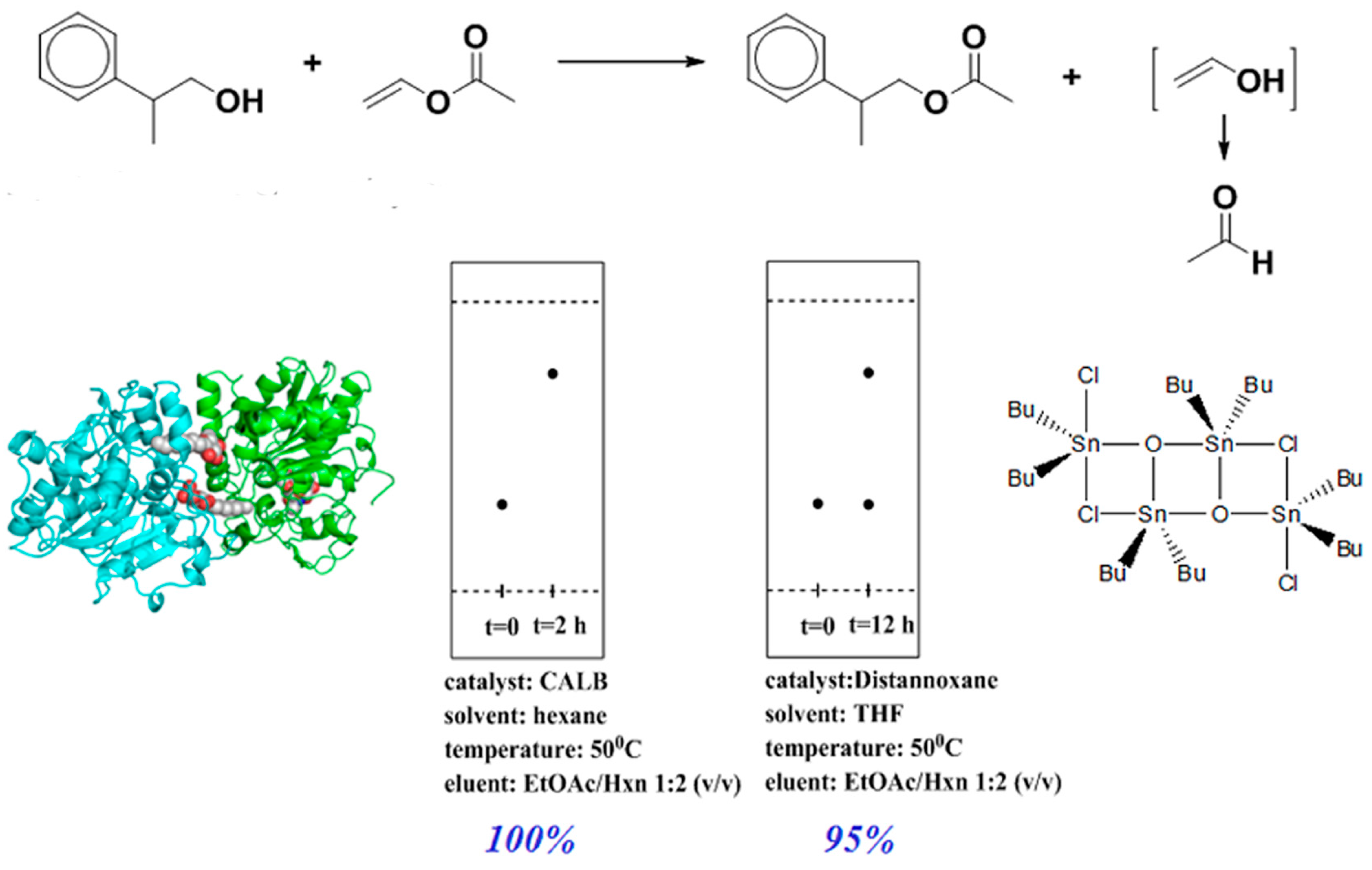 Molecules 20 09358 g003