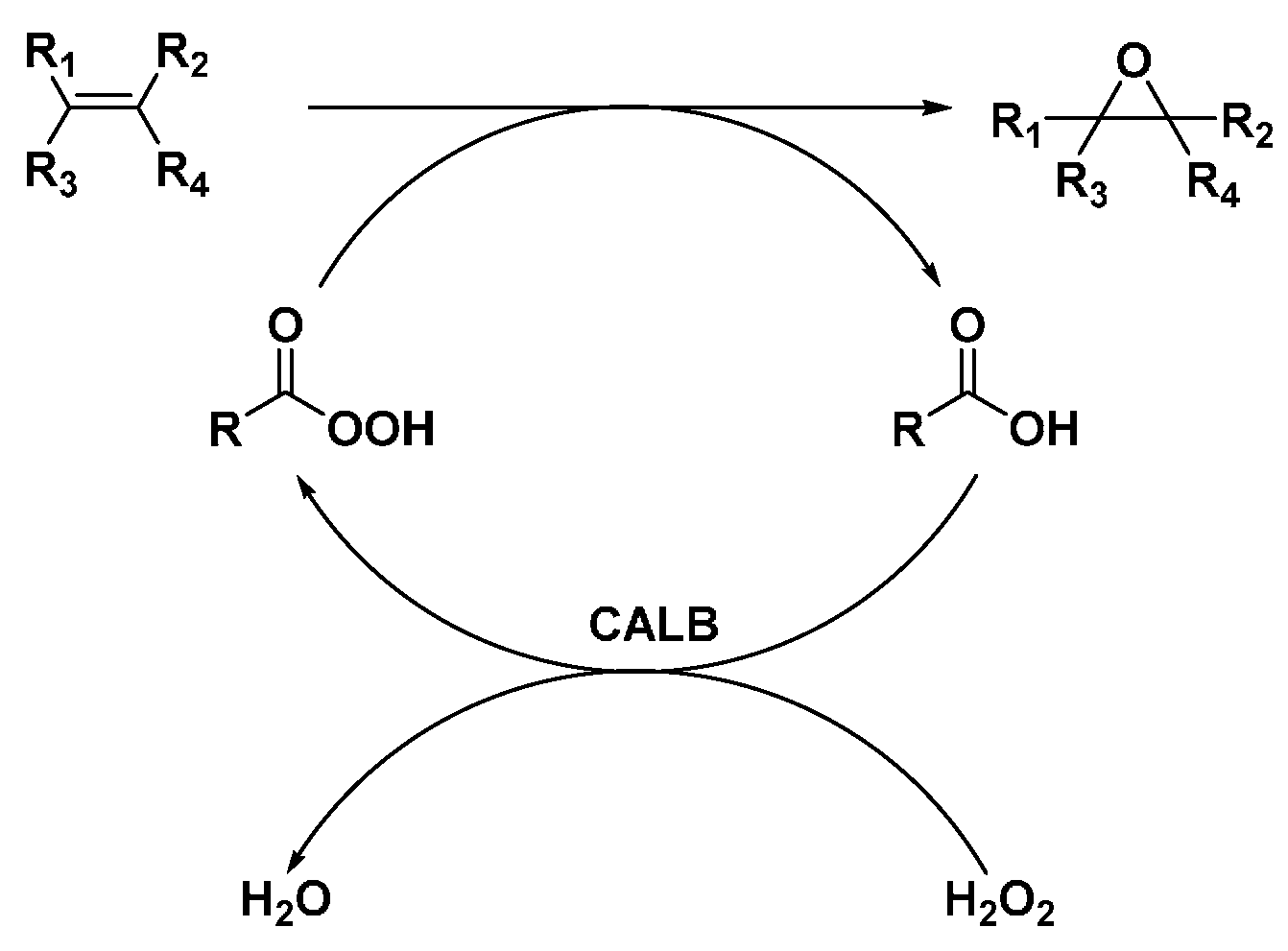 Molecules 20 09358 g013