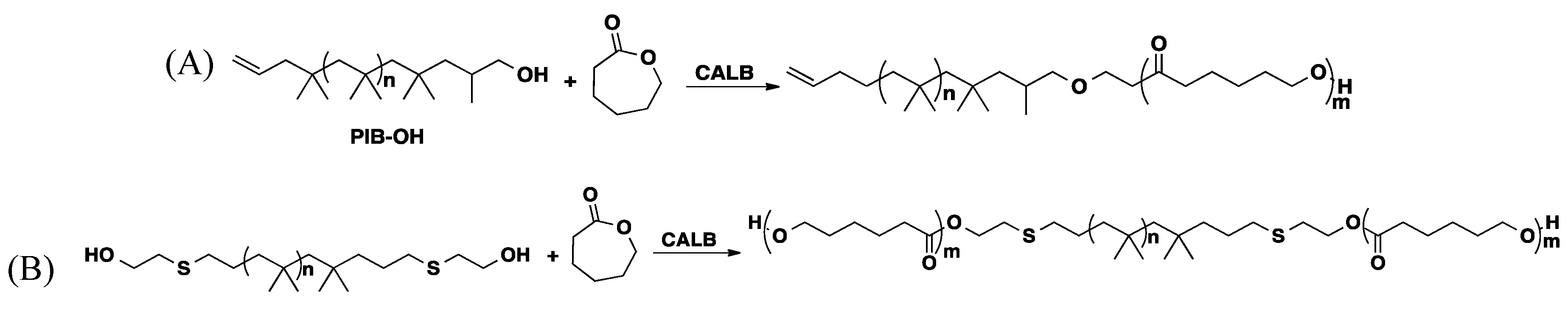 Molecules 20 09358 g019