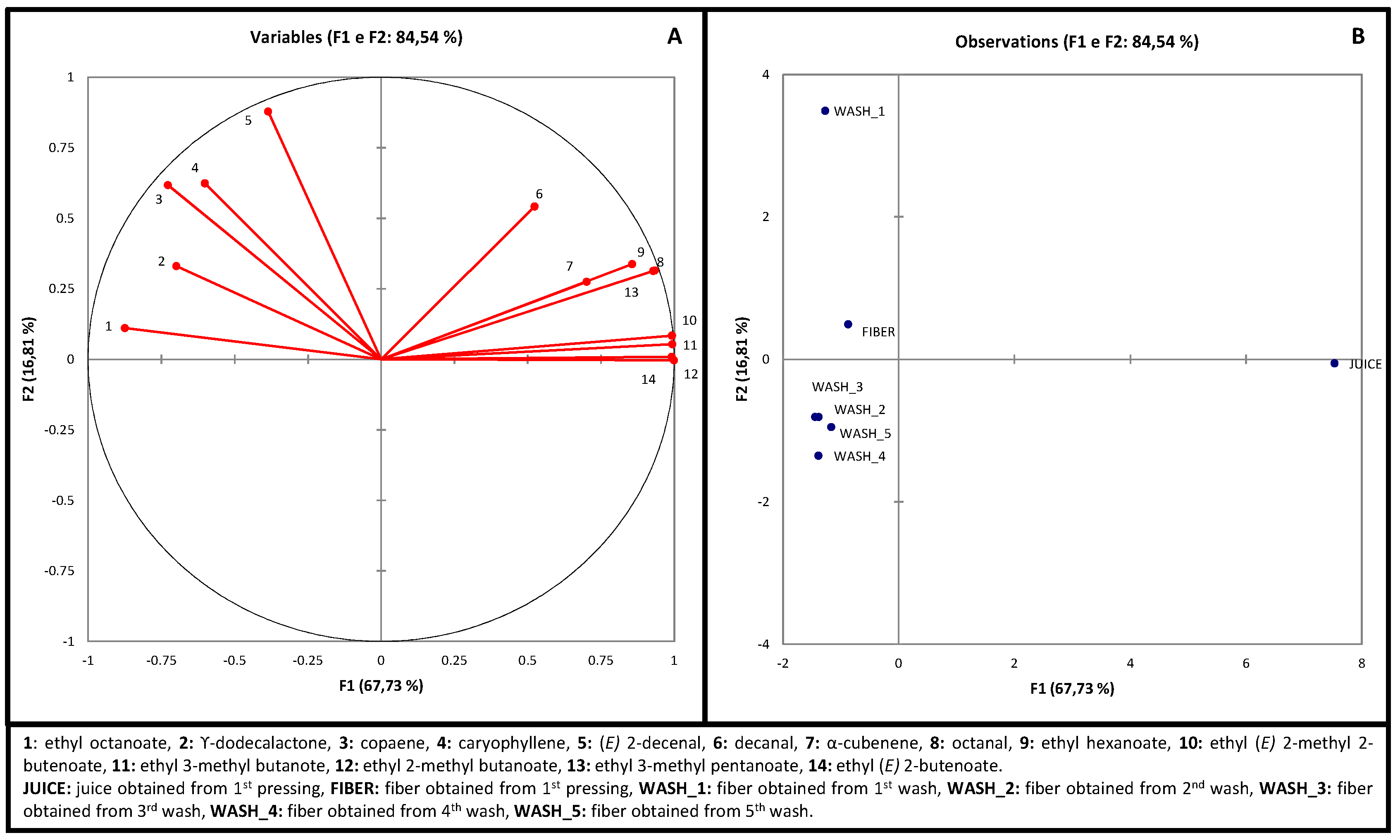Molecules 20 09803 g002