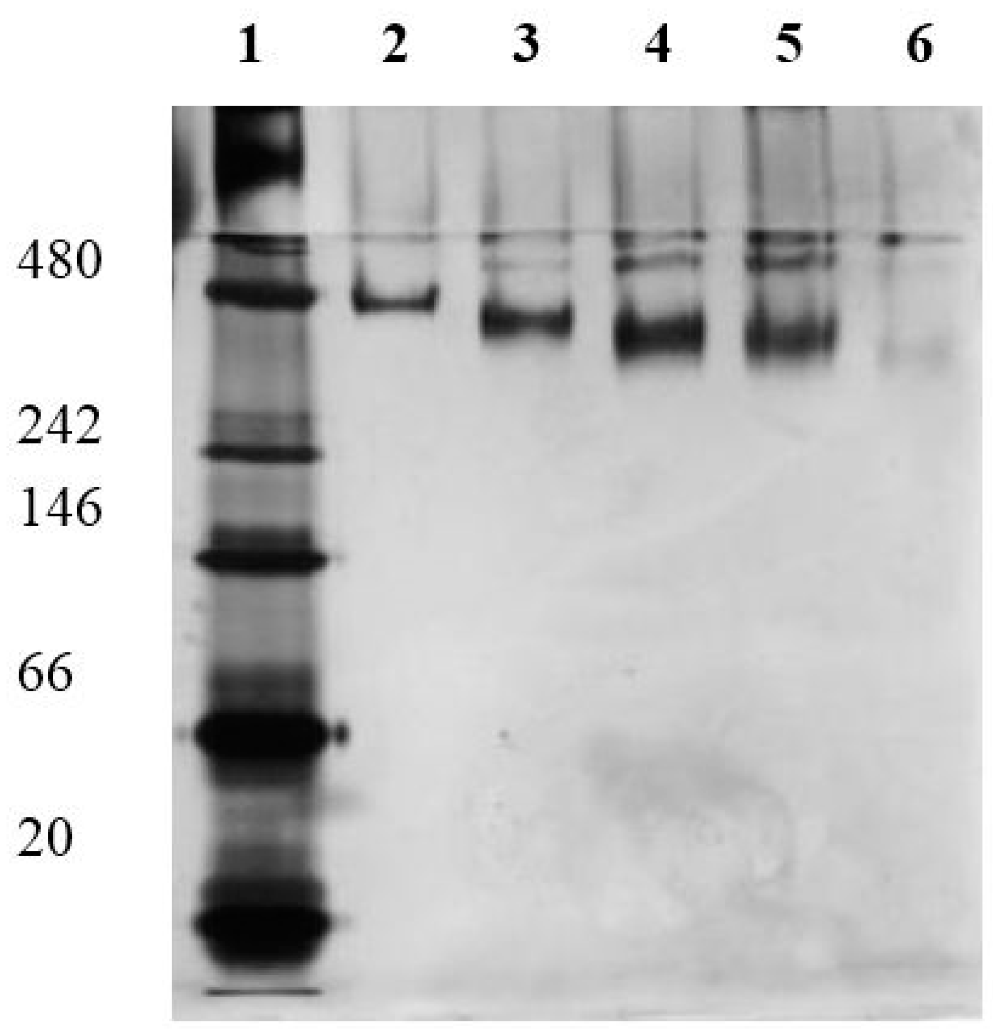 Molecules 20 09847 g001 550