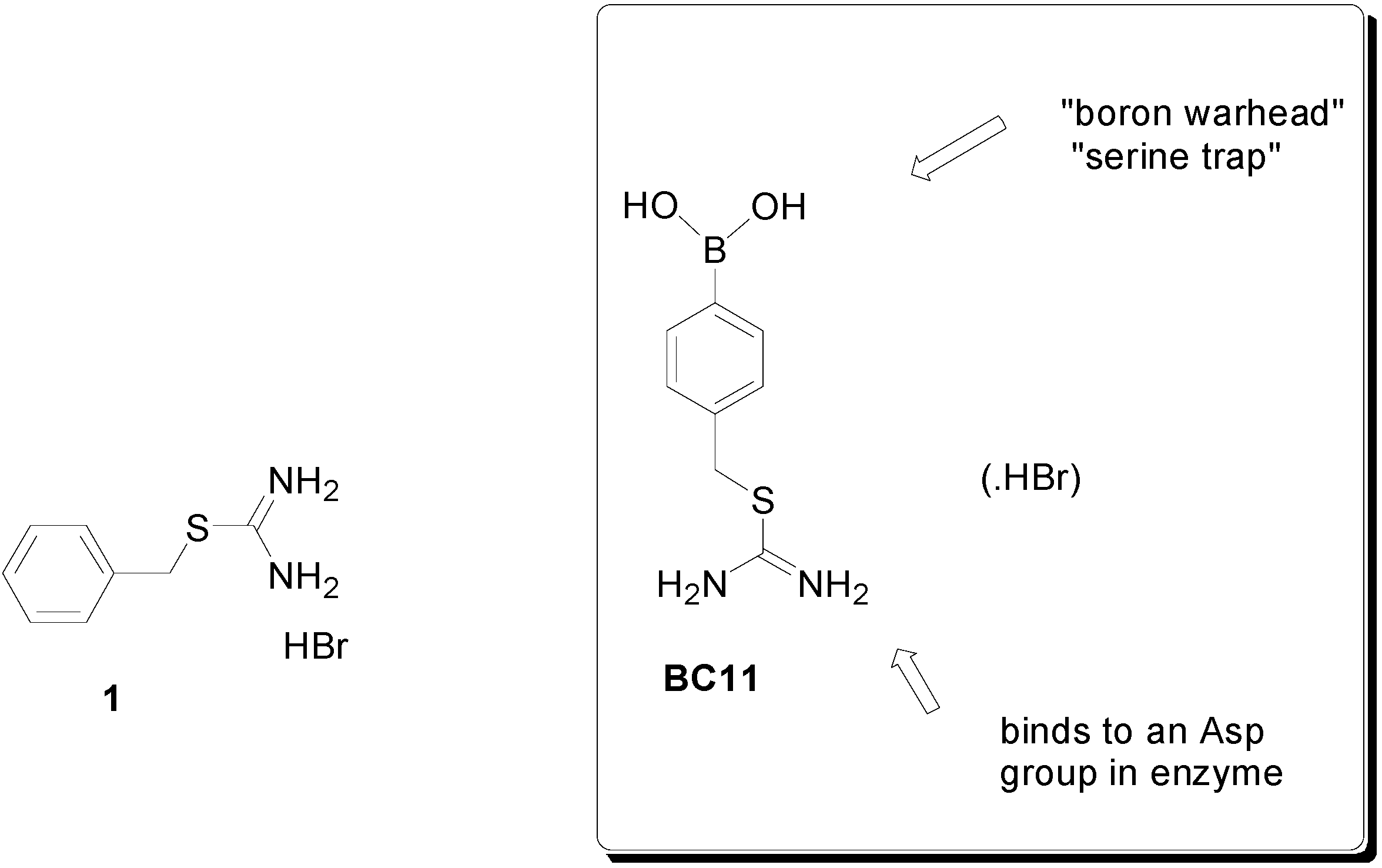Molecules 20 09879 g001