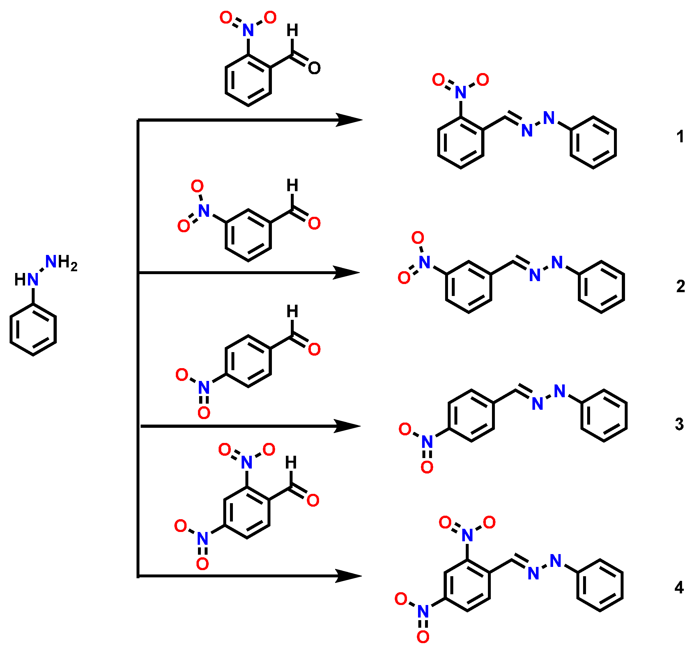 Molecules 20 09929 g008