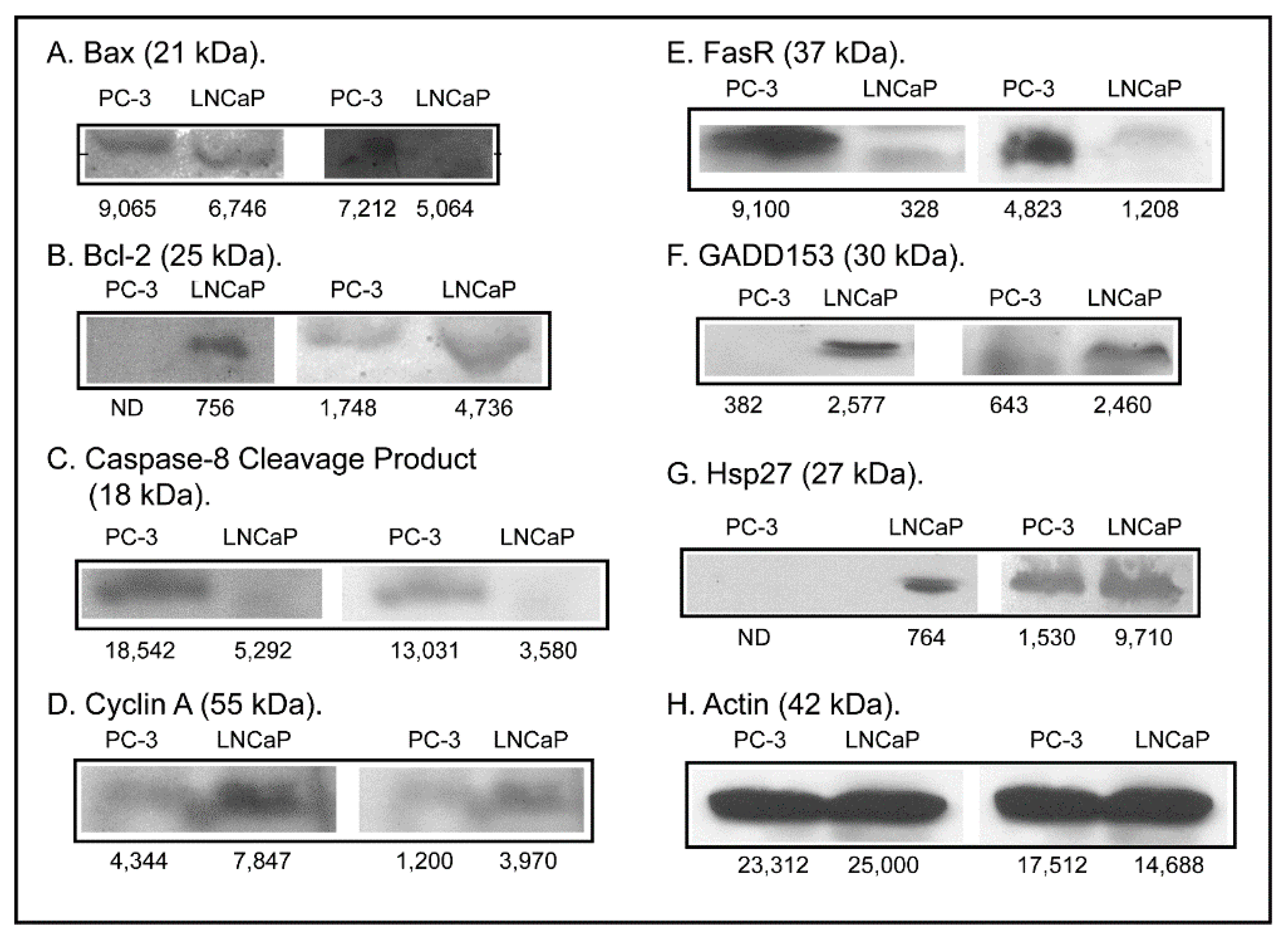 Molecules 20 10399 g005