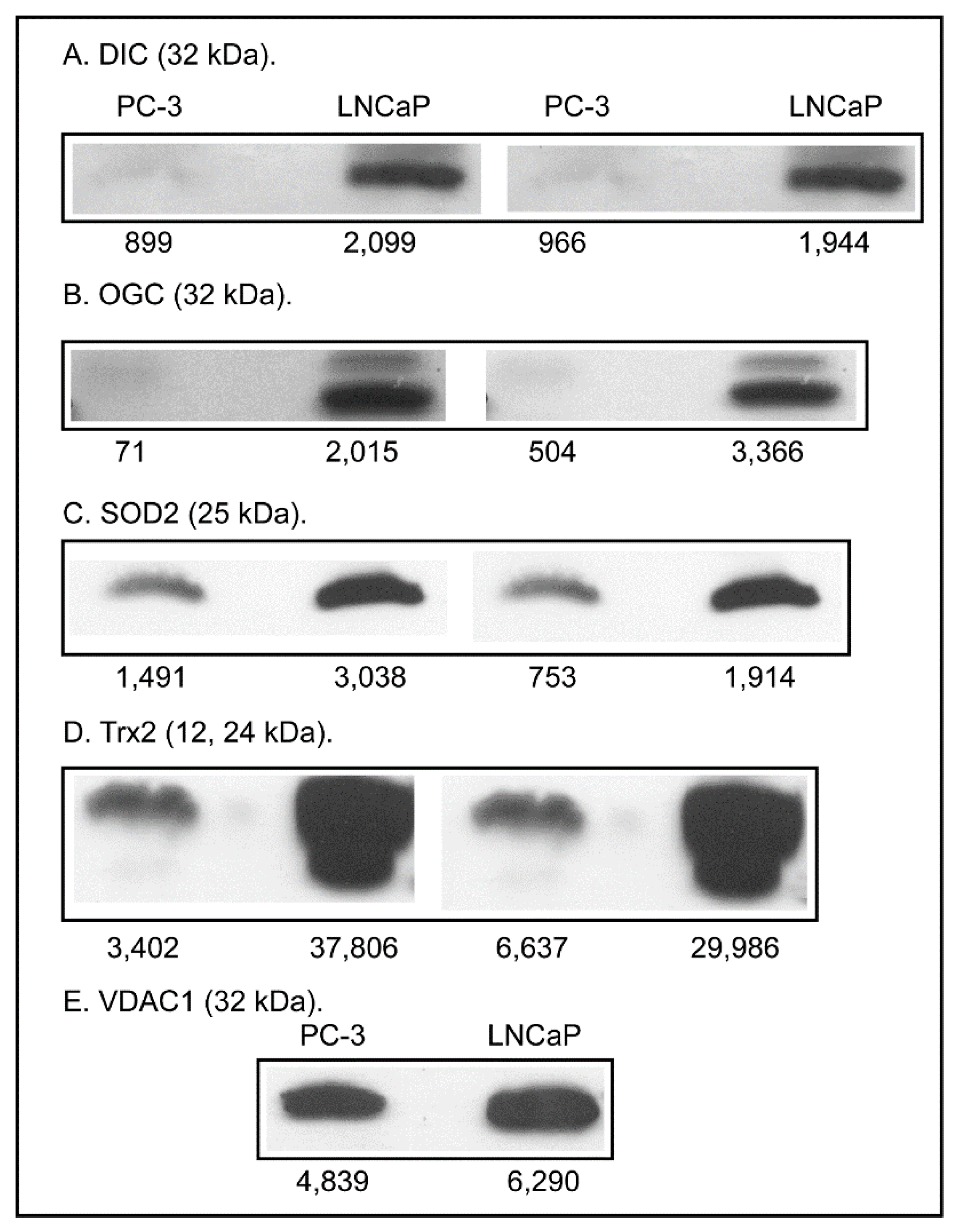 Molecules 20 10399 g006