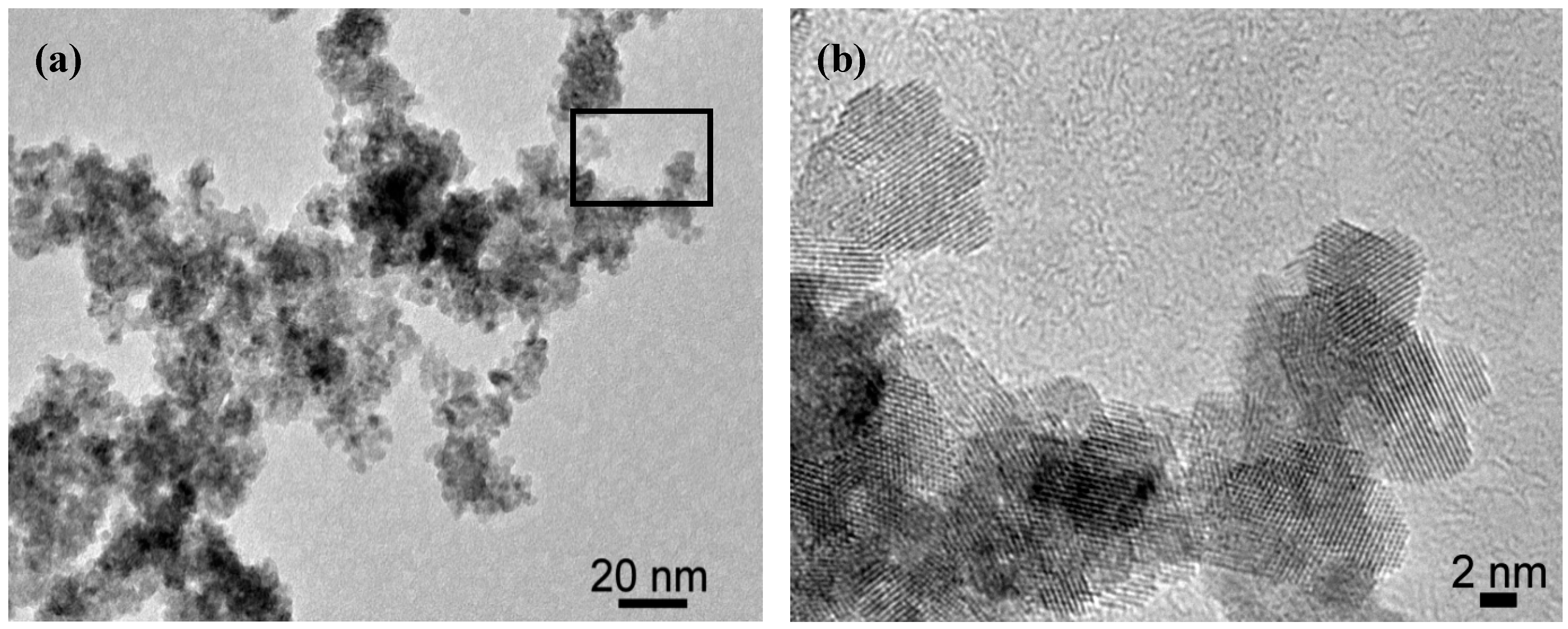 Molecules 20 10566 g002 550