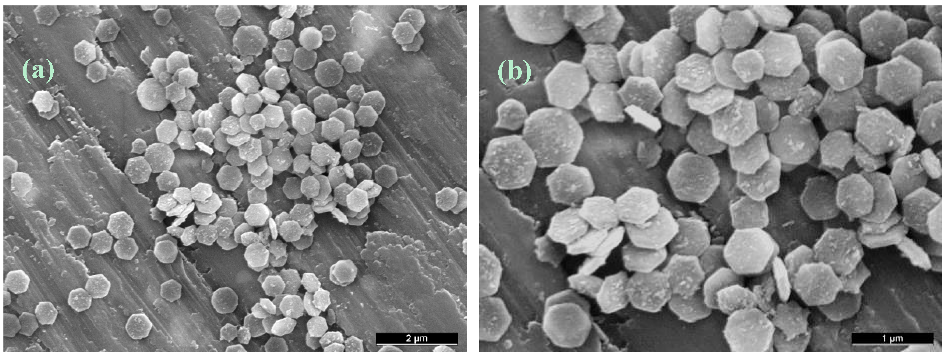 Molecules 20 10566 g006 550