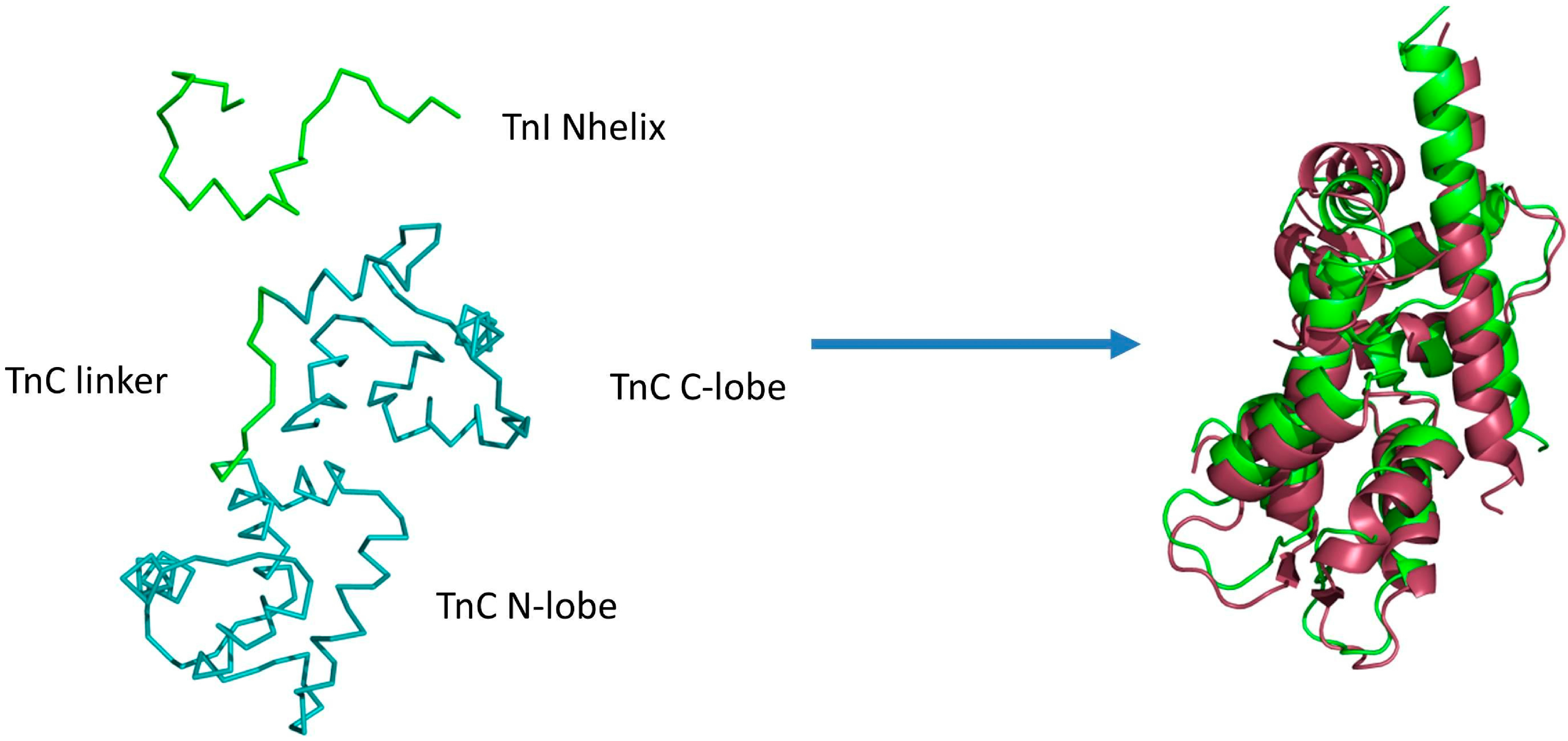 Molecules 20 10763 g001 550