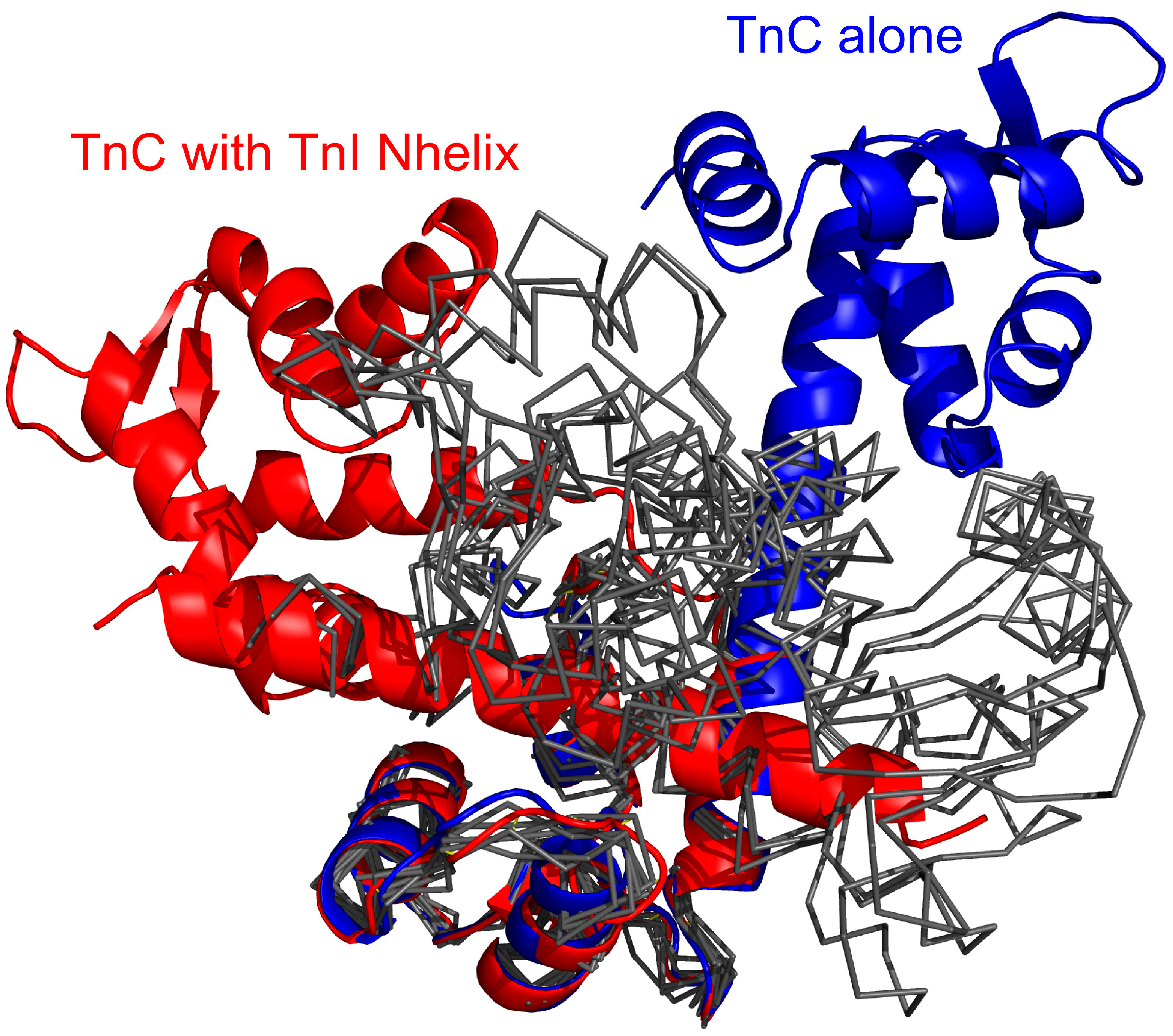 Molecules 20 10763 g009 550
