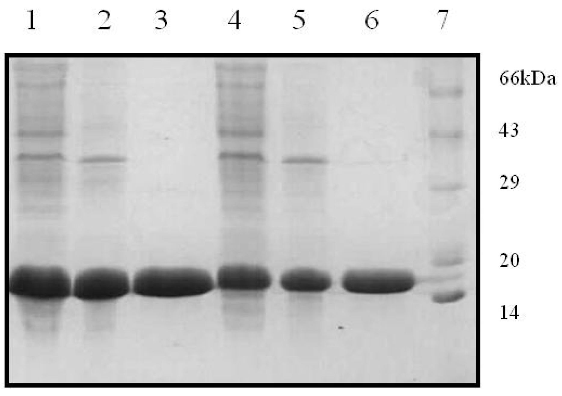 Molecules 20 10848 g001 550