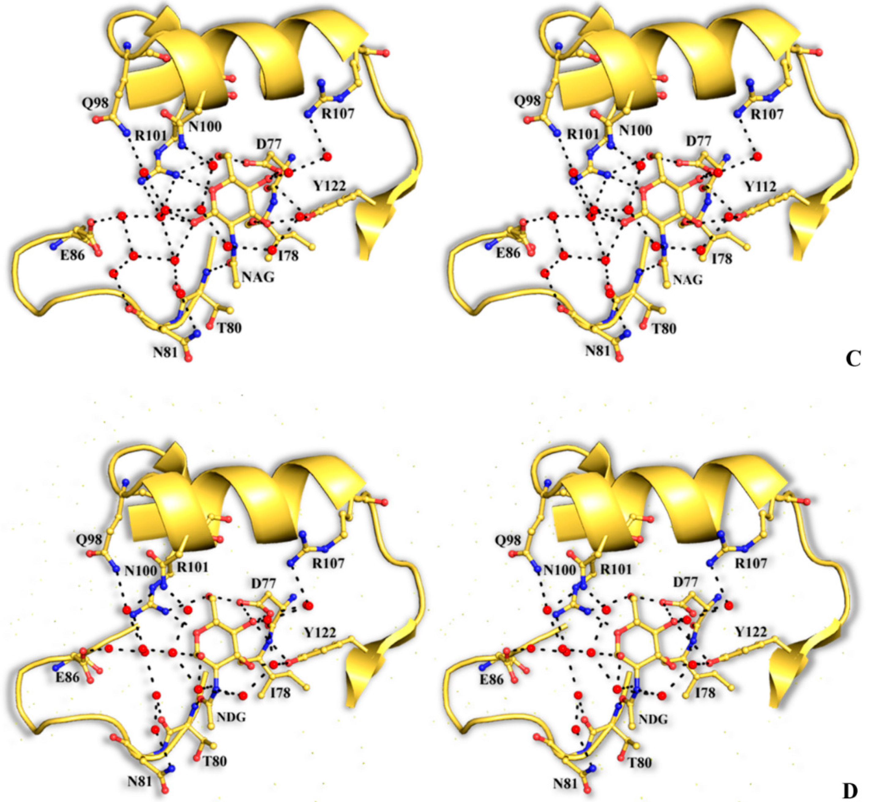 Molecules 20 10848 g004b 550