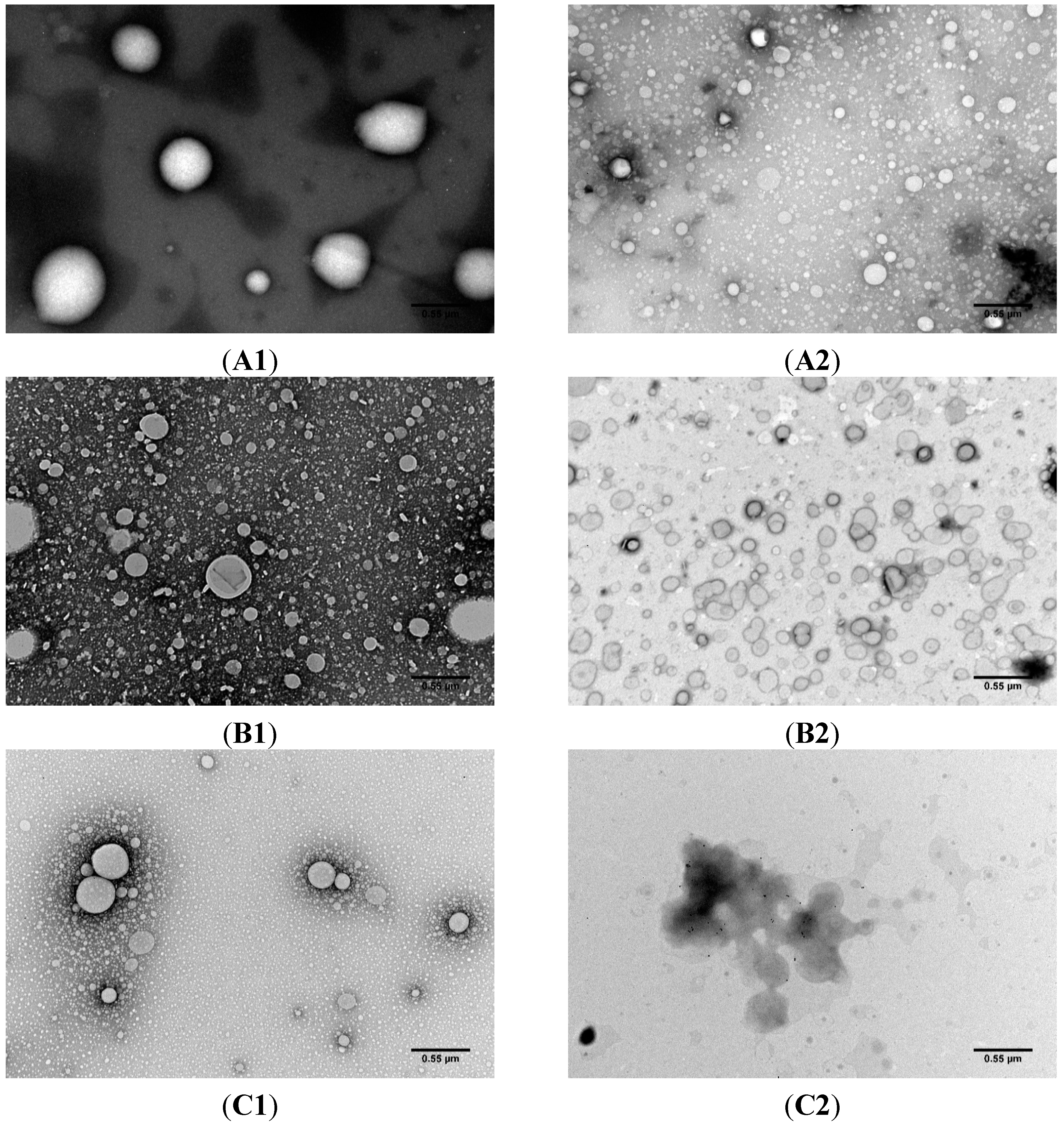Molecules 20 11103 g002a